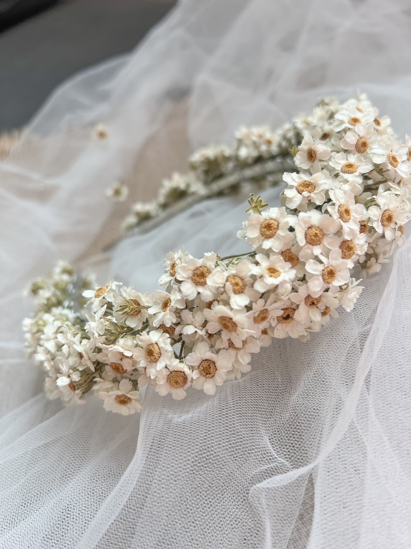 Dried Daisy Headband, White Daisy Floral Tiara, Dried Mini Daisy Flower Crown, Dried Flower Crown