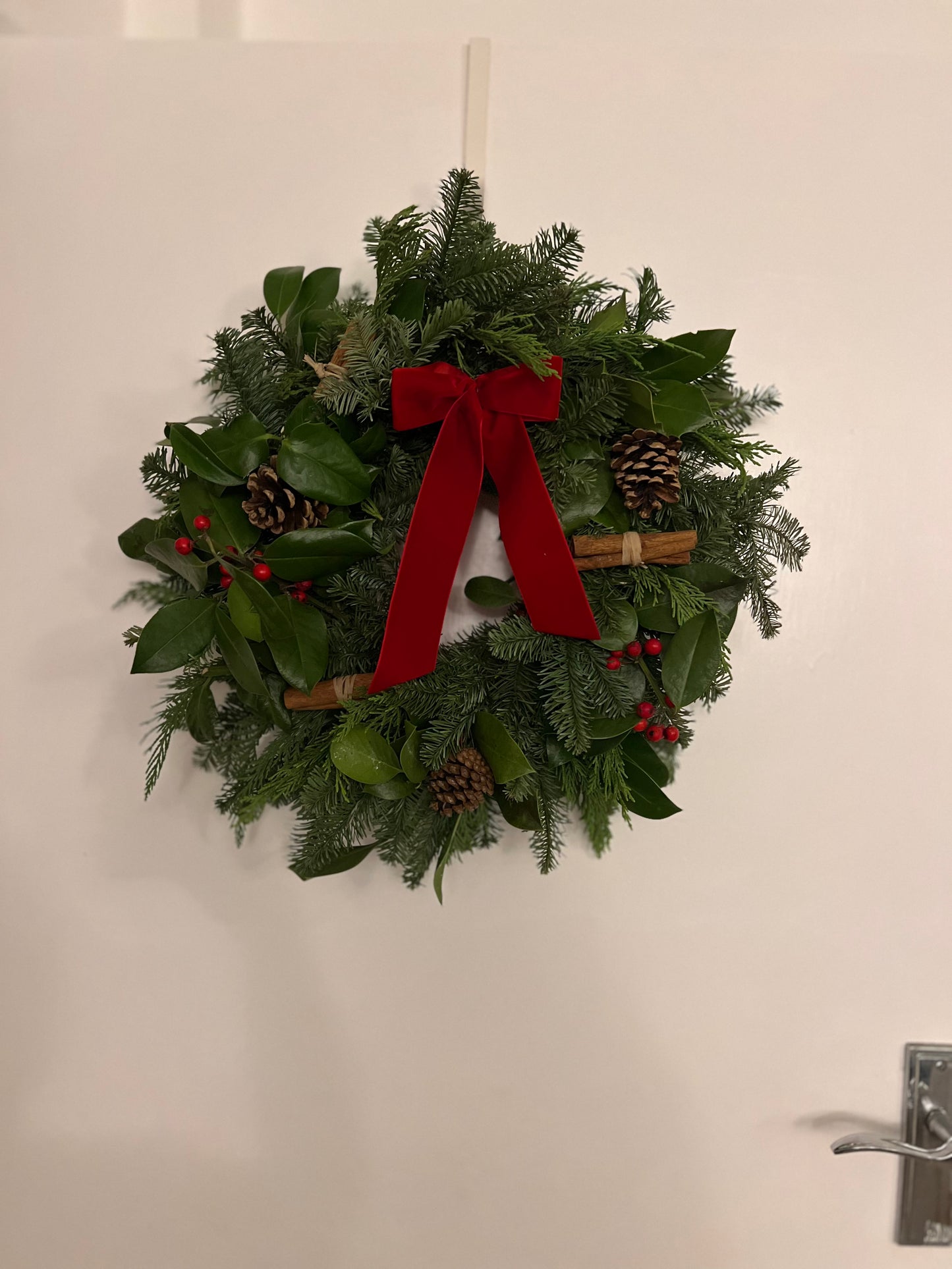 Fresh Christmas wreath with velvet red ribbon 45cm