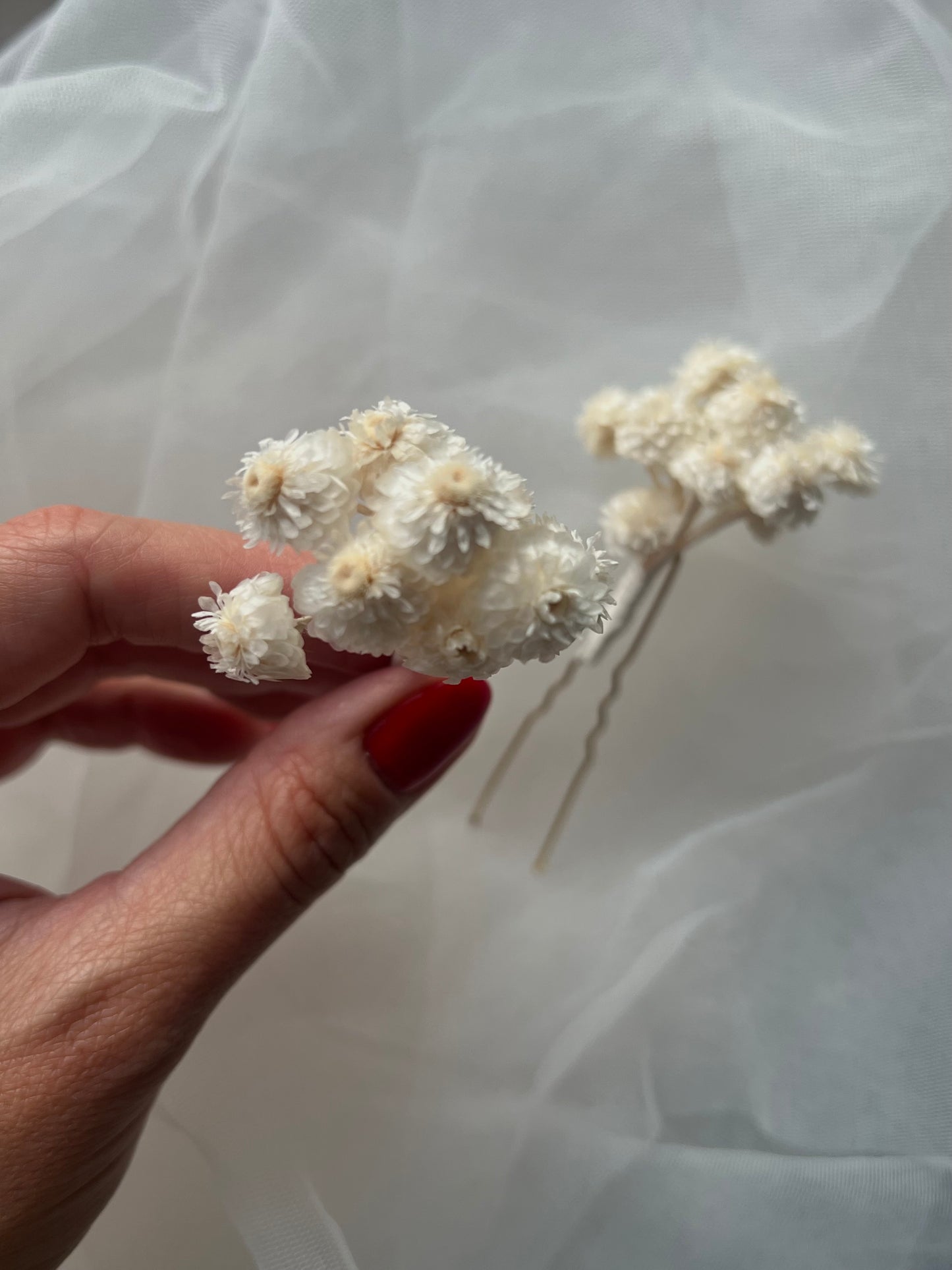 Dried Strawflower / Helichrysum Hair Pin Set in Ivory