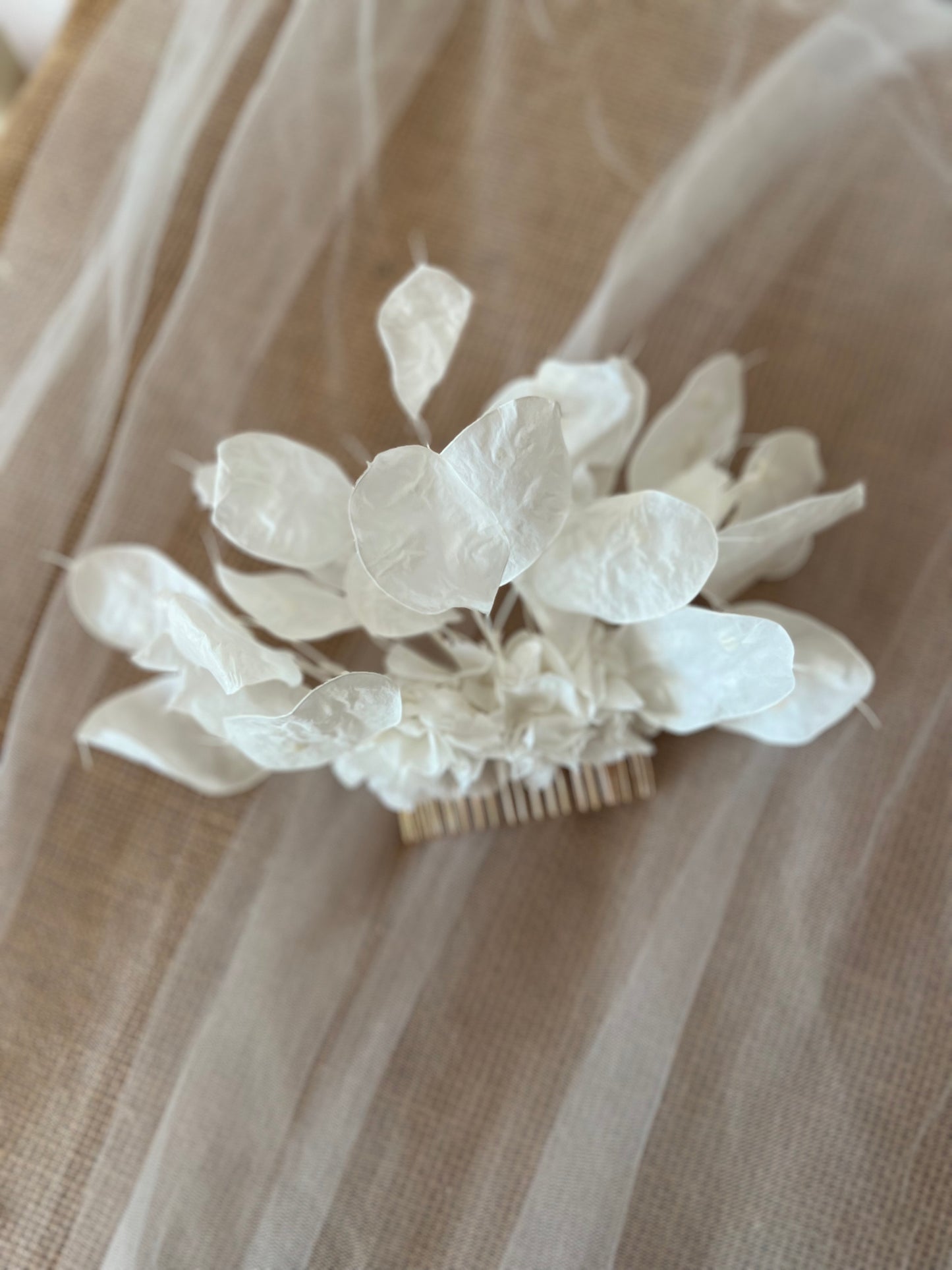 White Floral Statement Hair Comb, Preserved Honesty Headpiece, Modern Lunaria Wedding Headdress, Boho Bridal Hair Accessories