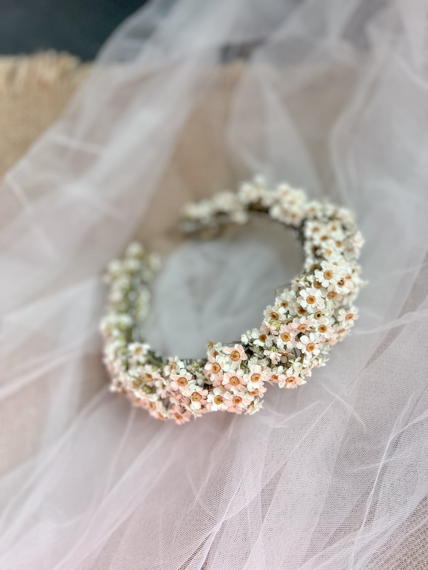 Dried Daisy Headband, White Daisy Floral Tiara, Dried Mini Daisy Flower Crown, Dried Flower Crown