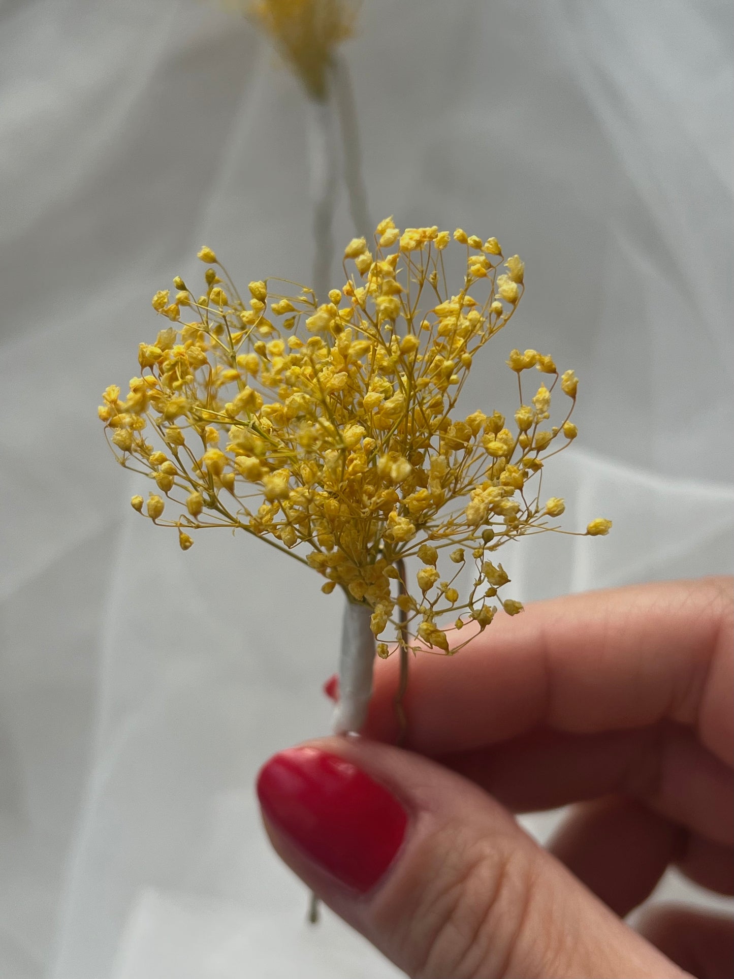 Preserved Gypsophila Hair Pin Set