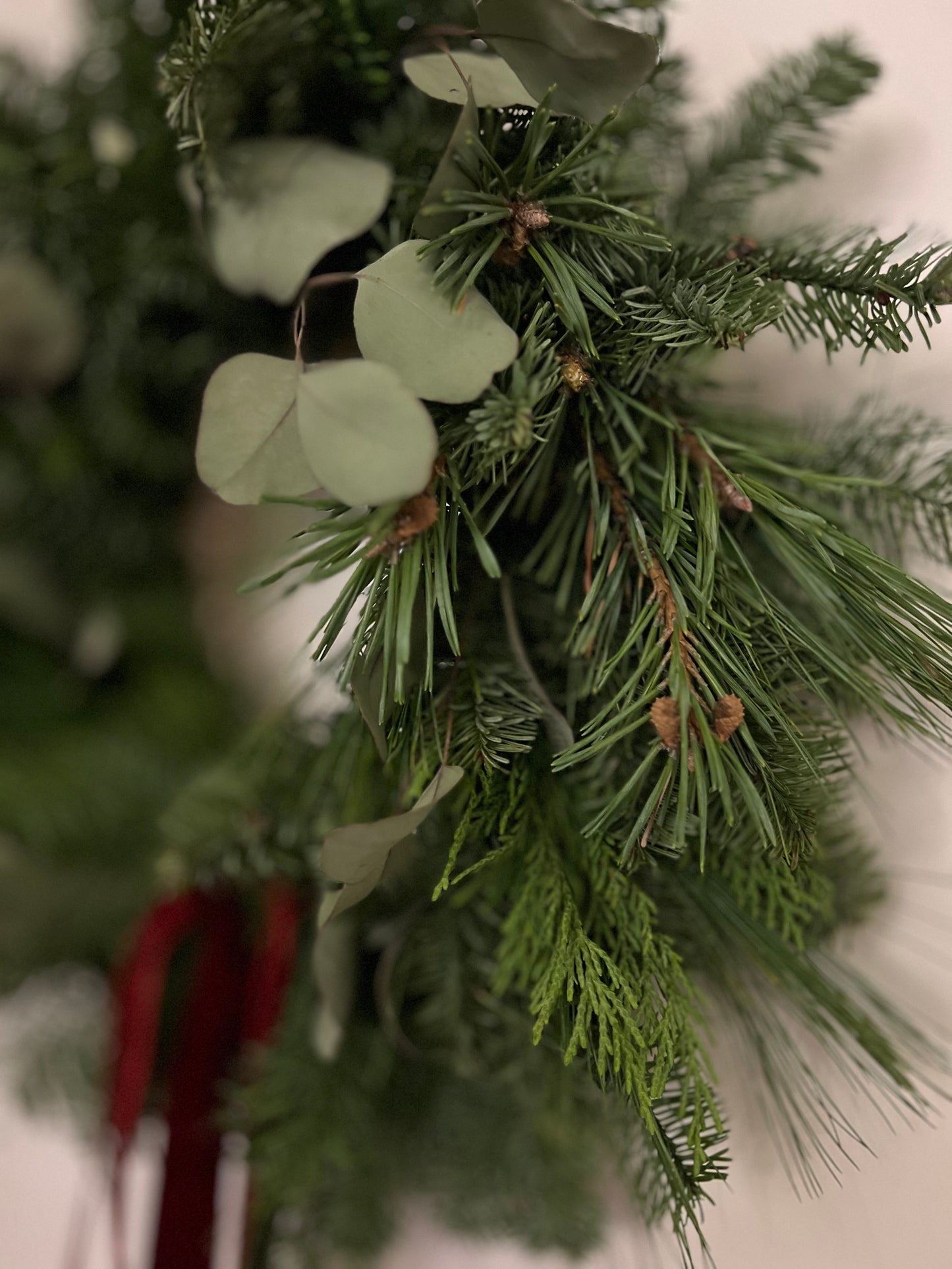 Fresh Christmas Wreath with Eucalyptus and Burgundy Velvet Ribbon, 45cm aprx