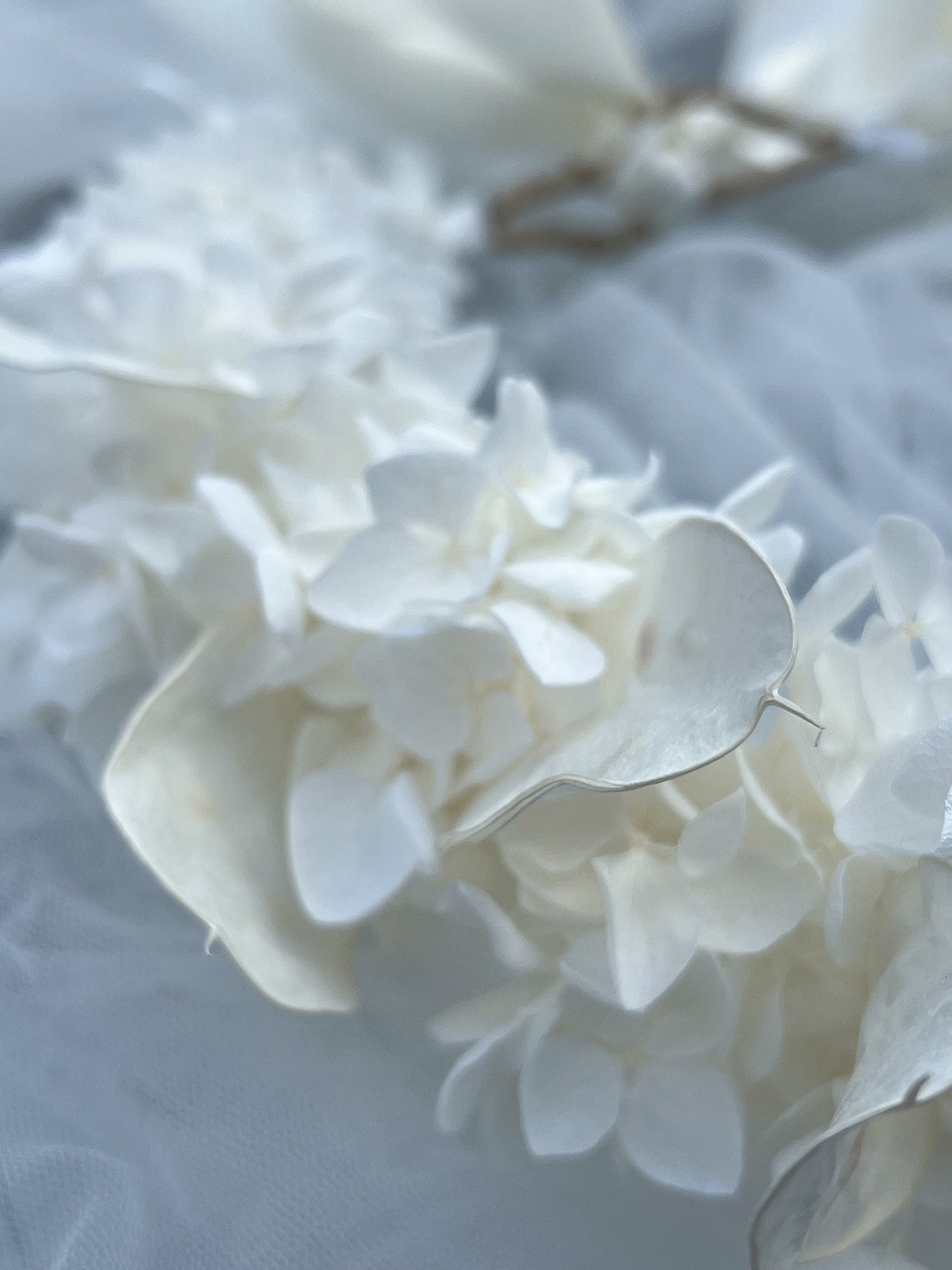 Ivory Floral Headband with Ivory Hydrangeas and Lunaria | Dried Honesty Flower Crown