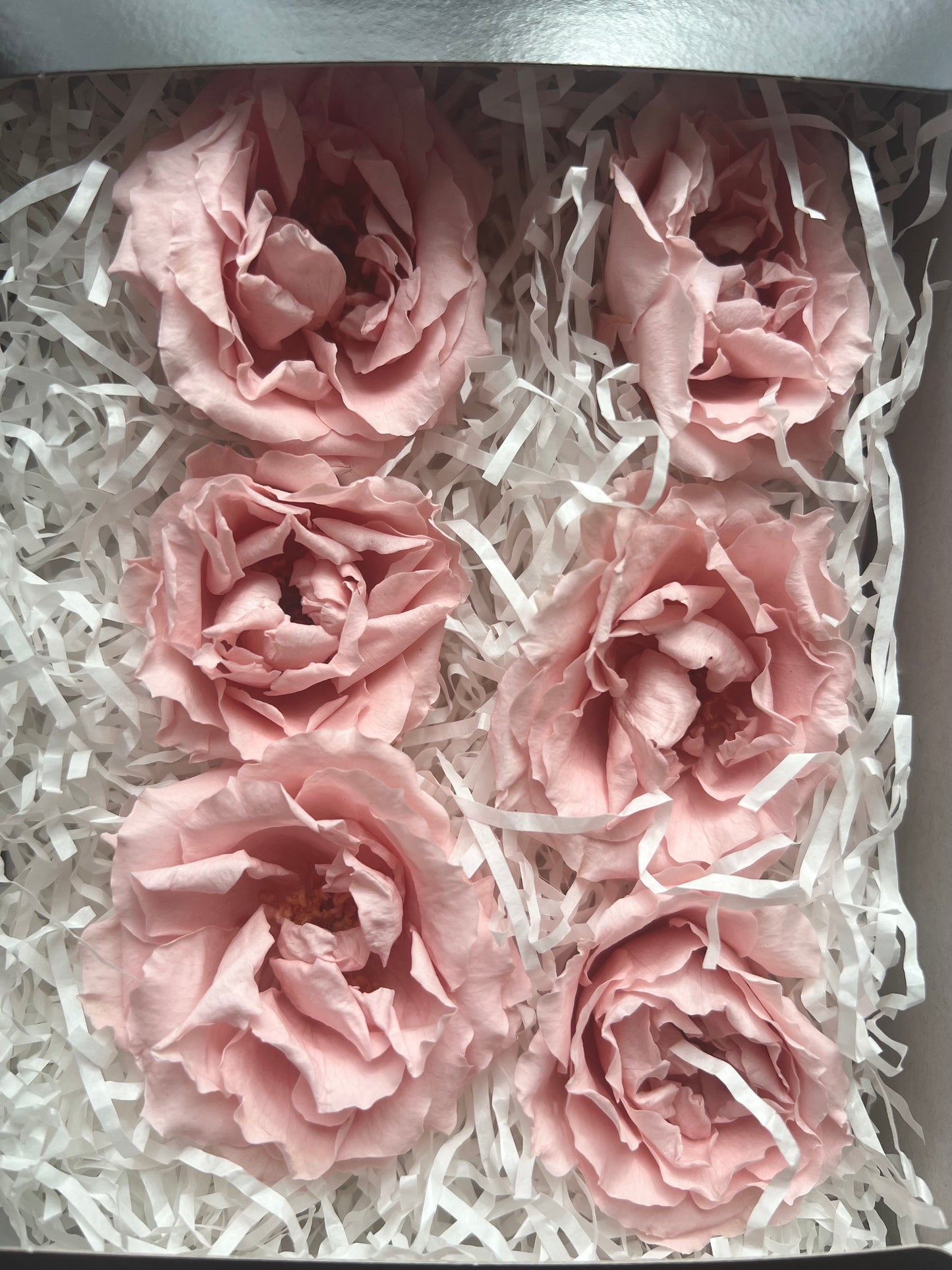 Custom Order for Karolina