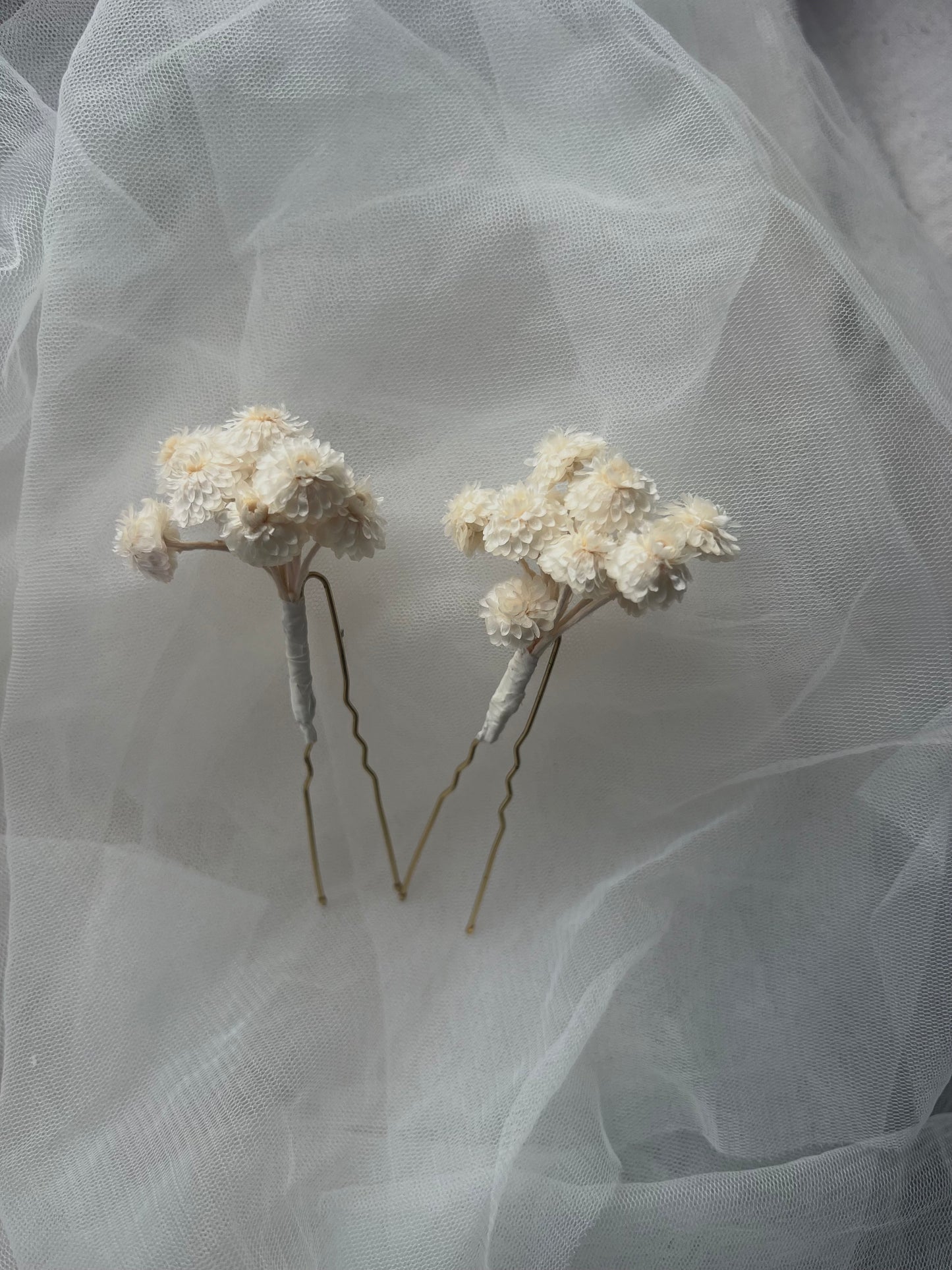 Dried Strawflower / Helichrysum Hair Pin Set in Ivory