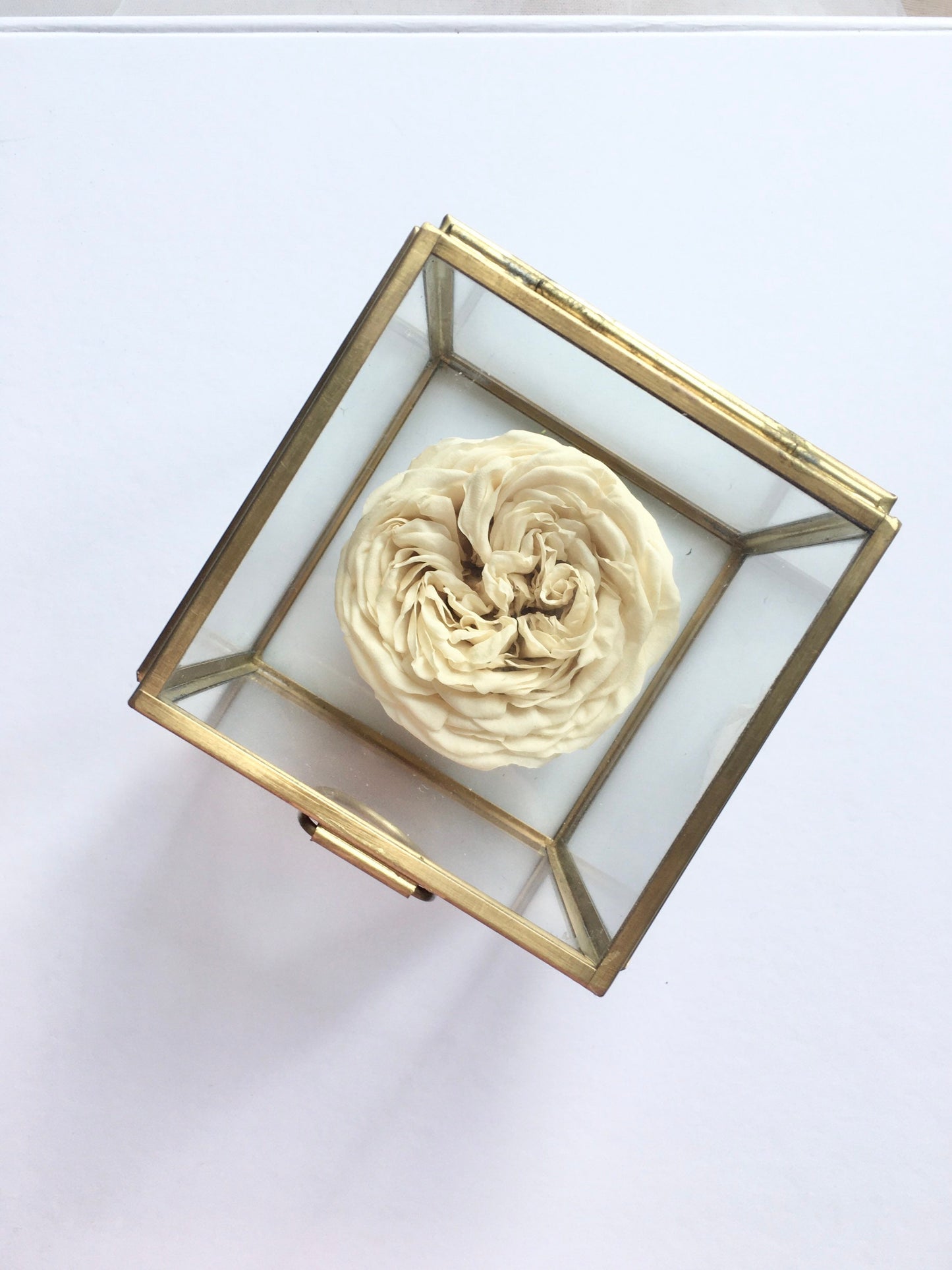 Preserved Real Rose Box, Mothers Day Eternal Flower in Glass Box, Dried Flower Arrangement, Bohemian House Decoration UK