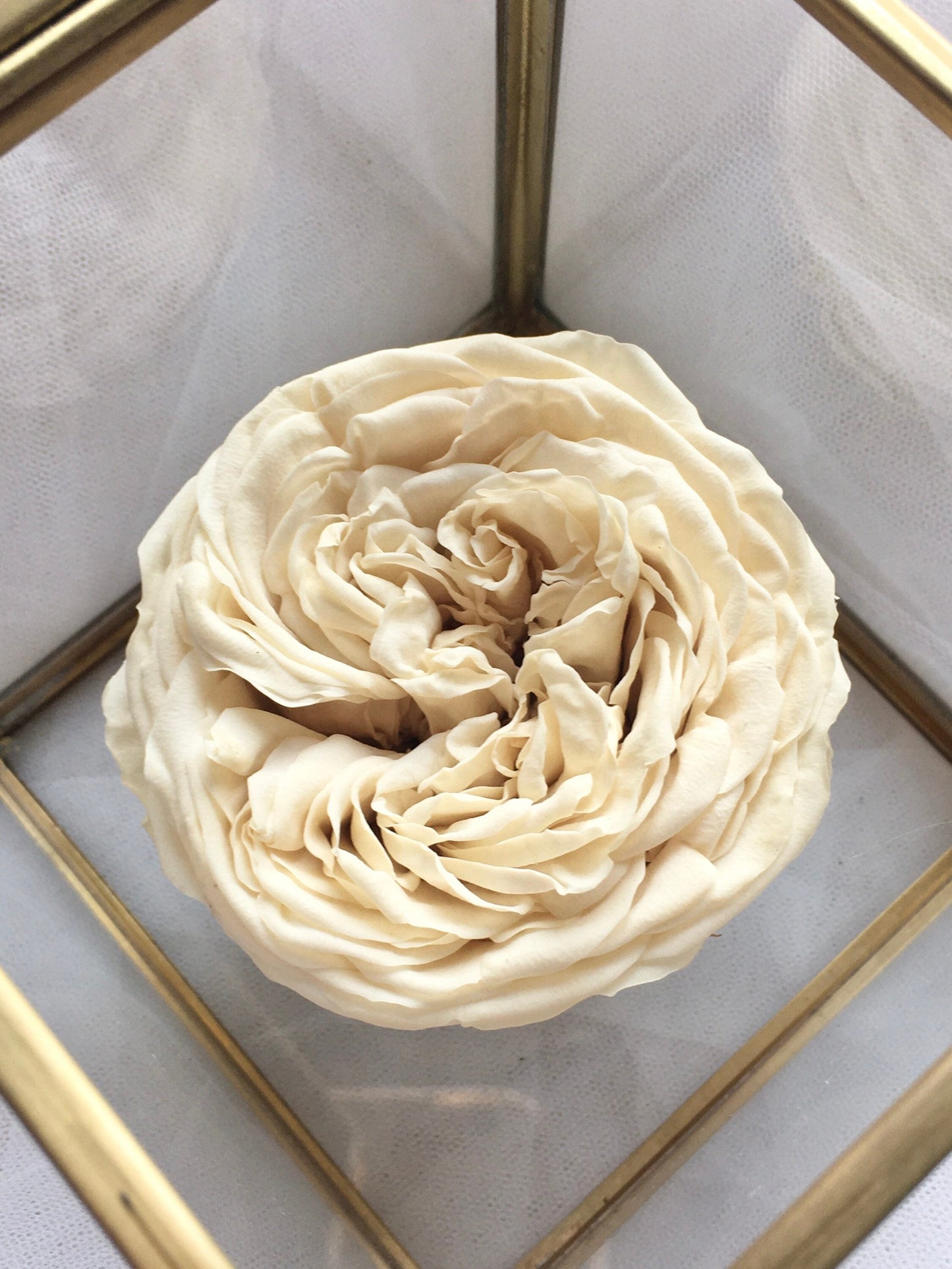 Preserved Real Rose Box, Mothers Day Eternal Flower in Glass Box, Dried Flower Arrangement, Bohemian House Decoration UK