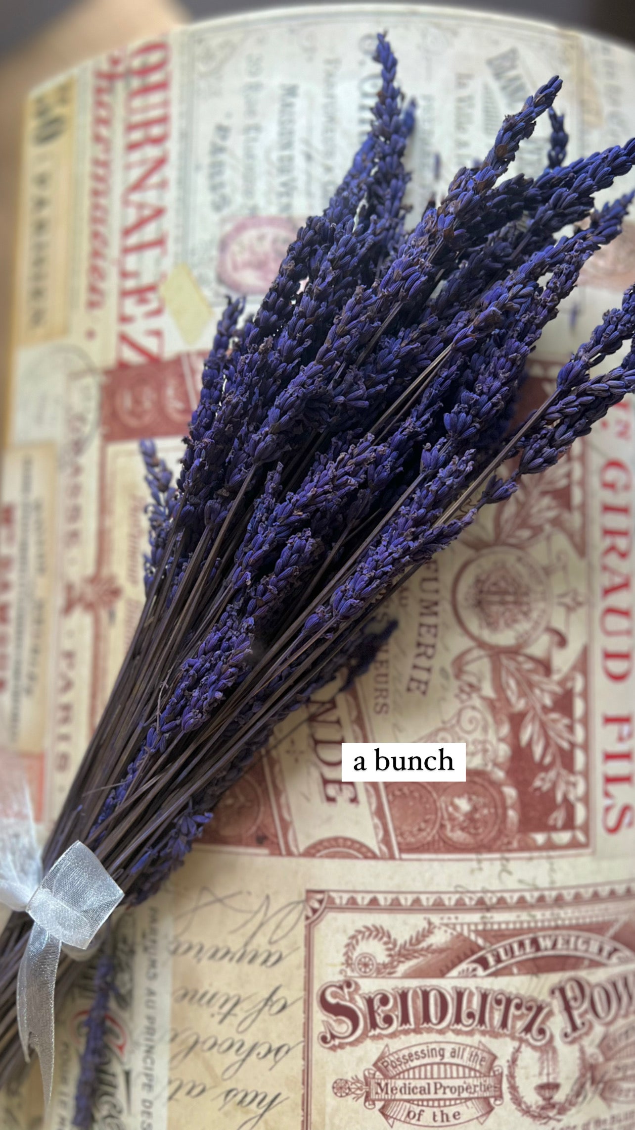 Preserved Scented Real Lavender Bunch