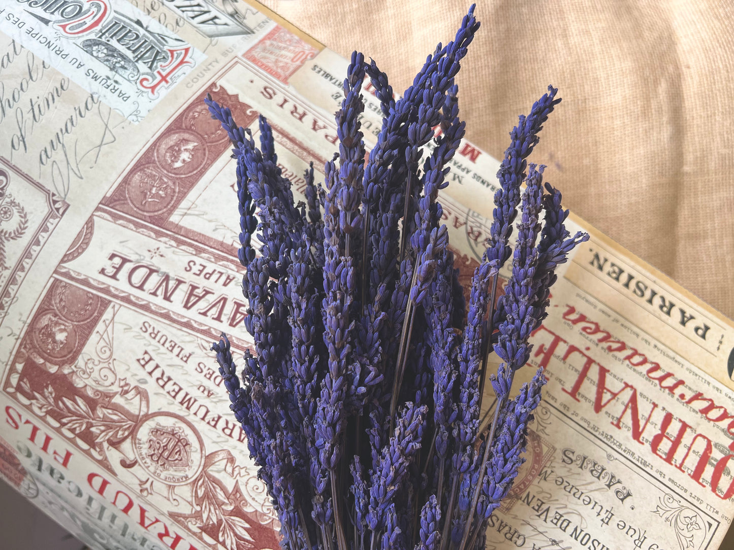 Preserved Scented Real Lavender Bunch