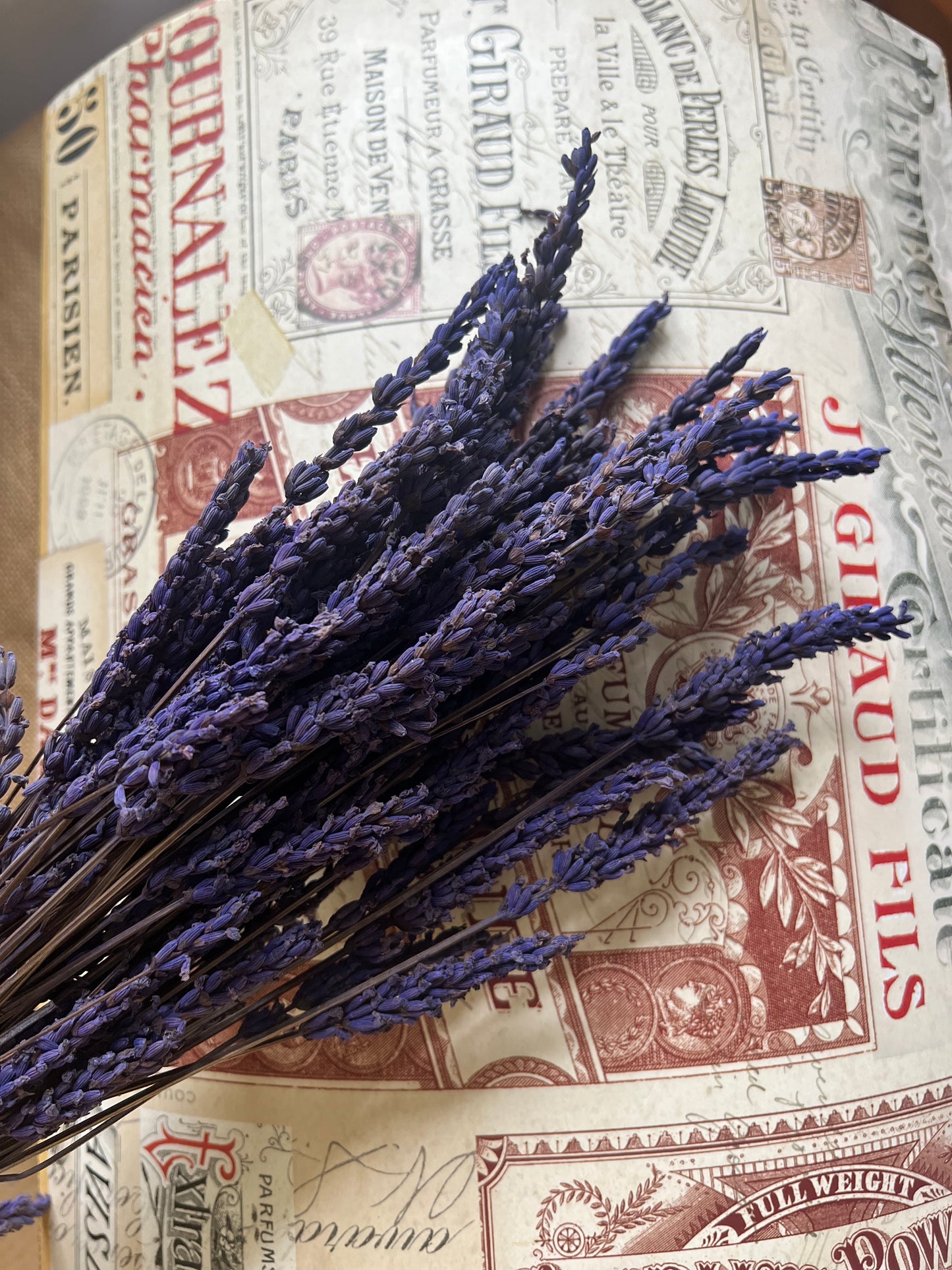Preserved Scented Real Lavender Bunch