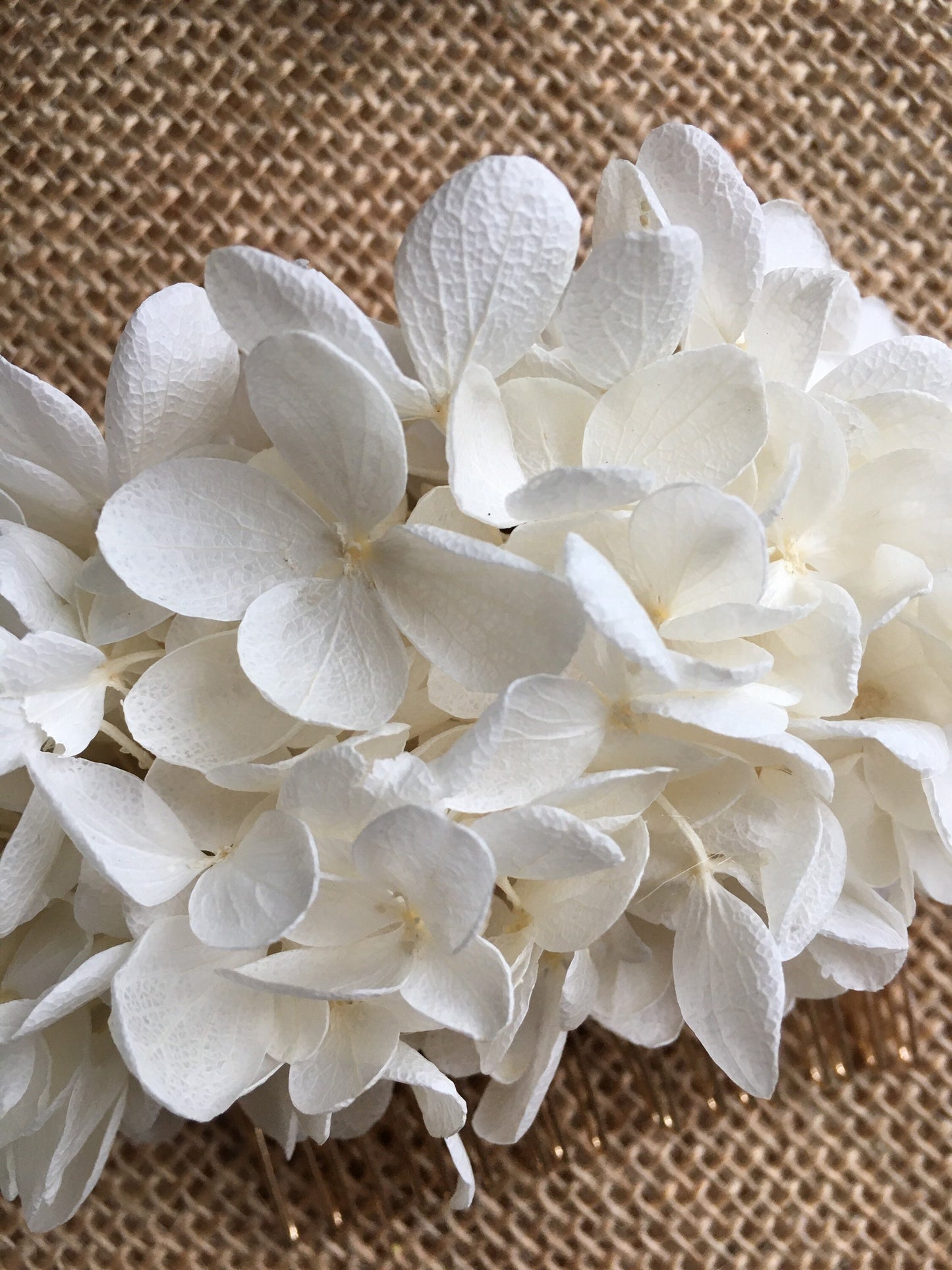 Boho Bridal Off White Ivory Dried Real Flower Hair Piece, Summer Wedding Romantic Bride Dry Flower Hair Comb, Floral Headpiece