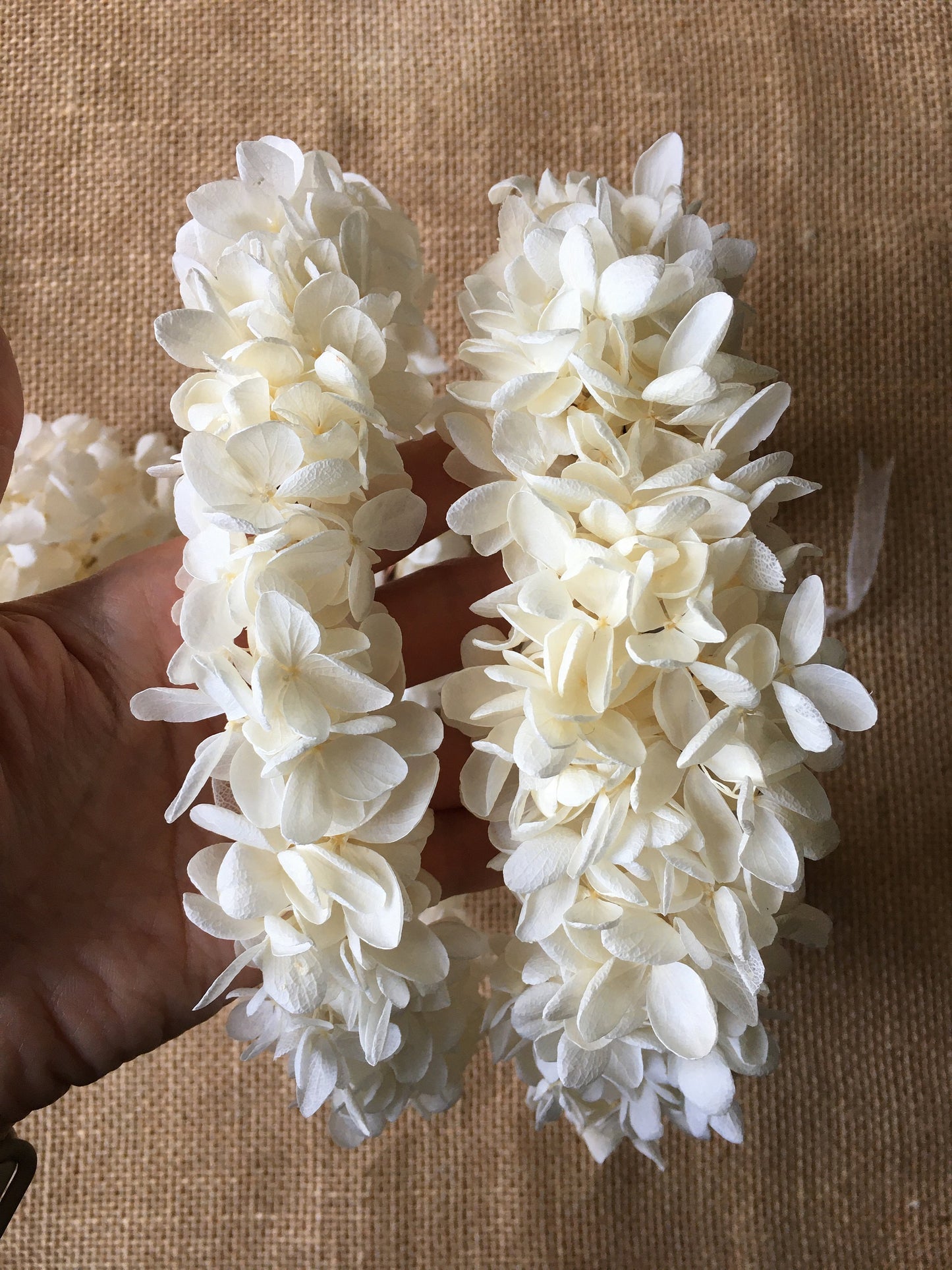 White Flower Crown Adult, Wedding Flower Girl Headband Wreath Dried Flower Tiara Hair Piece UK, Hydrangea Headband, Ivory Floral Headpiece