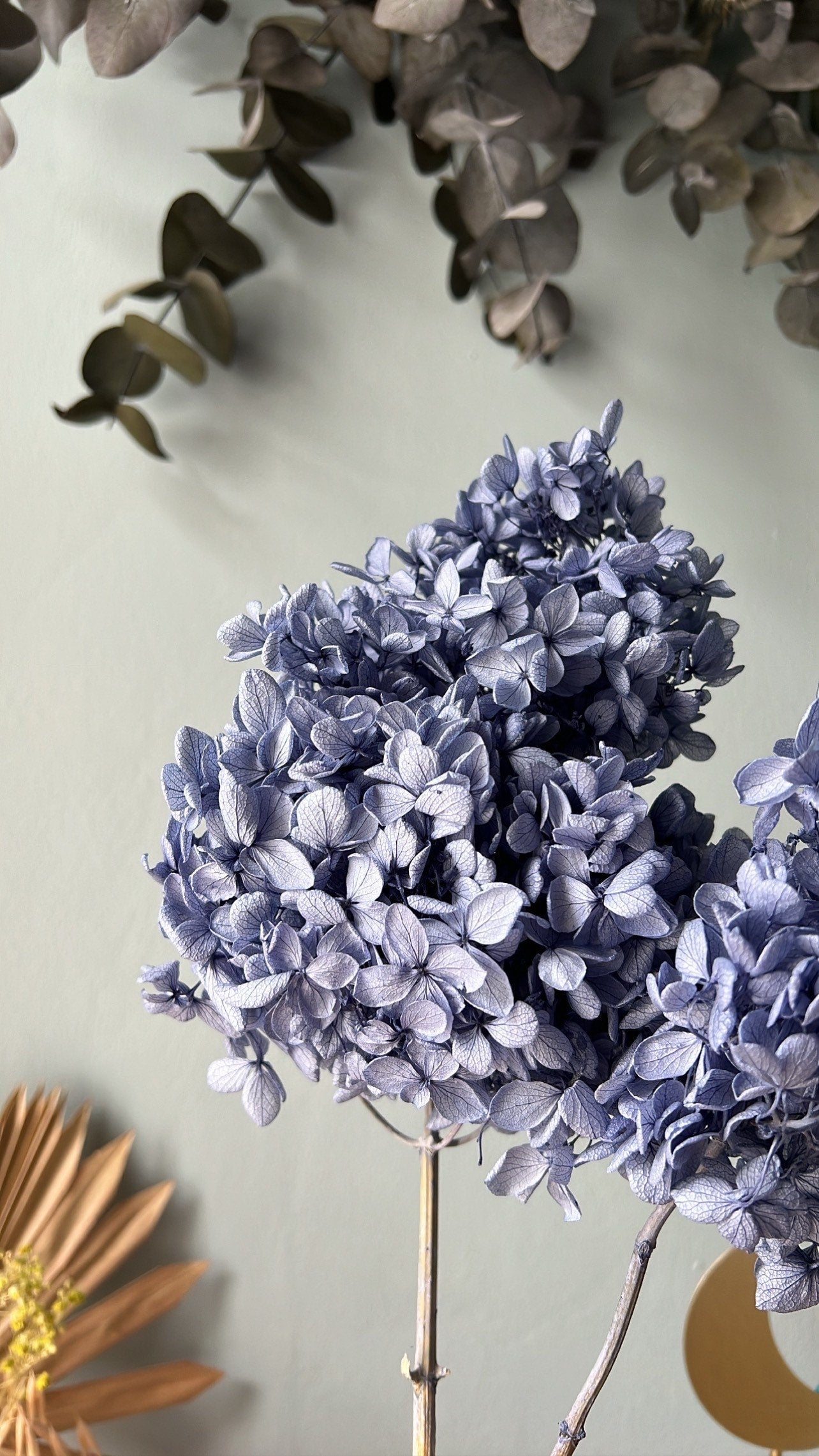 Preserved Hydrangea Sample