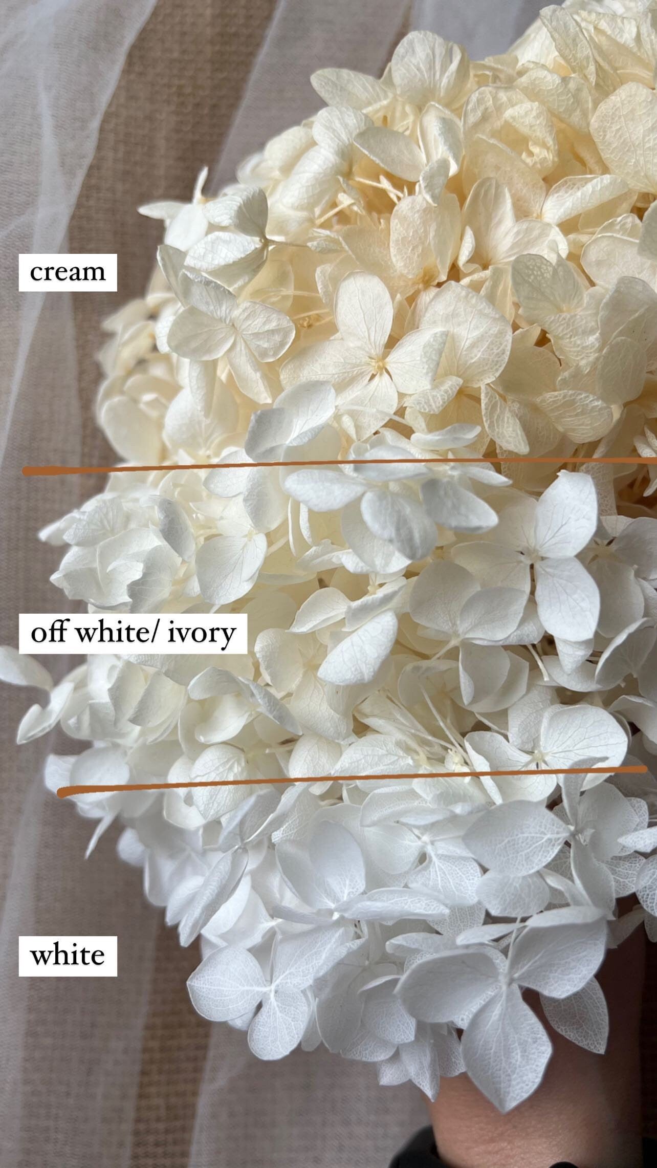Boho Bridal Off White Ivory Dried Real Flower Hair Piece, Summer Wedding Romantic Bride Dry Flower Hair Comb, Floral Headpiece
