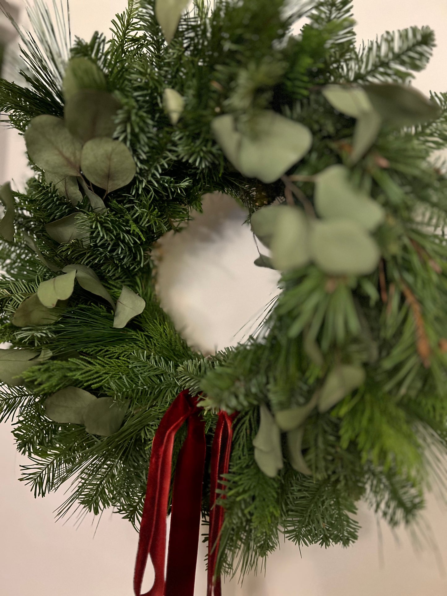 Fresh Christmas Wreath with Eucalyptus and Burgundy Velvet Ribbon, 45cm aprx
