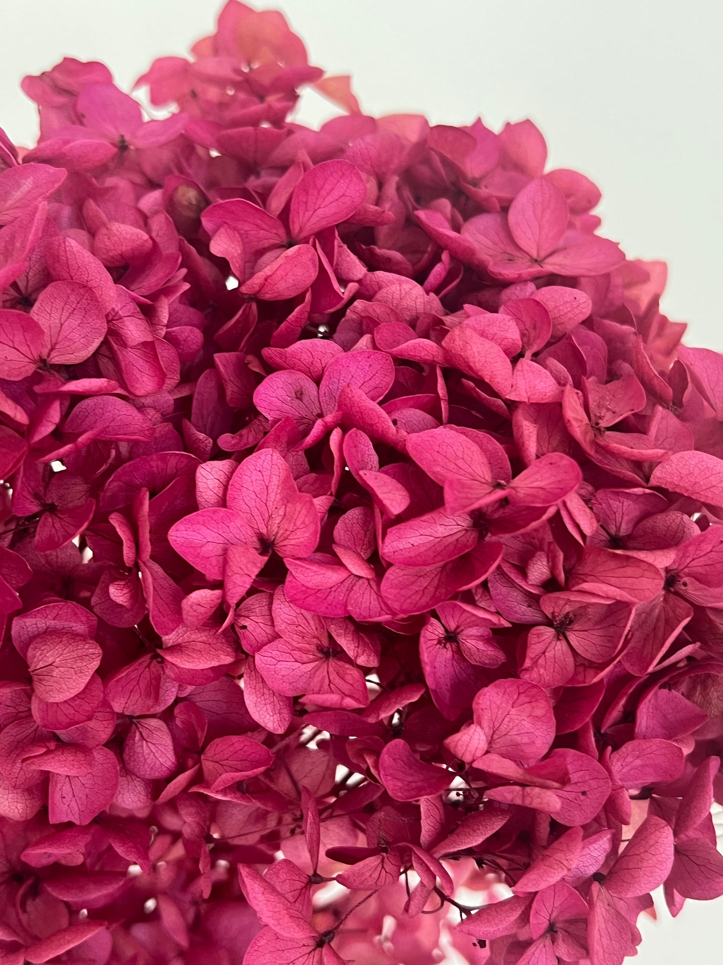 Fuchsia Deep Pink Hydrangea Hair Accessories, Set of 3 Hair Pins, Pink Flower Hair Clip