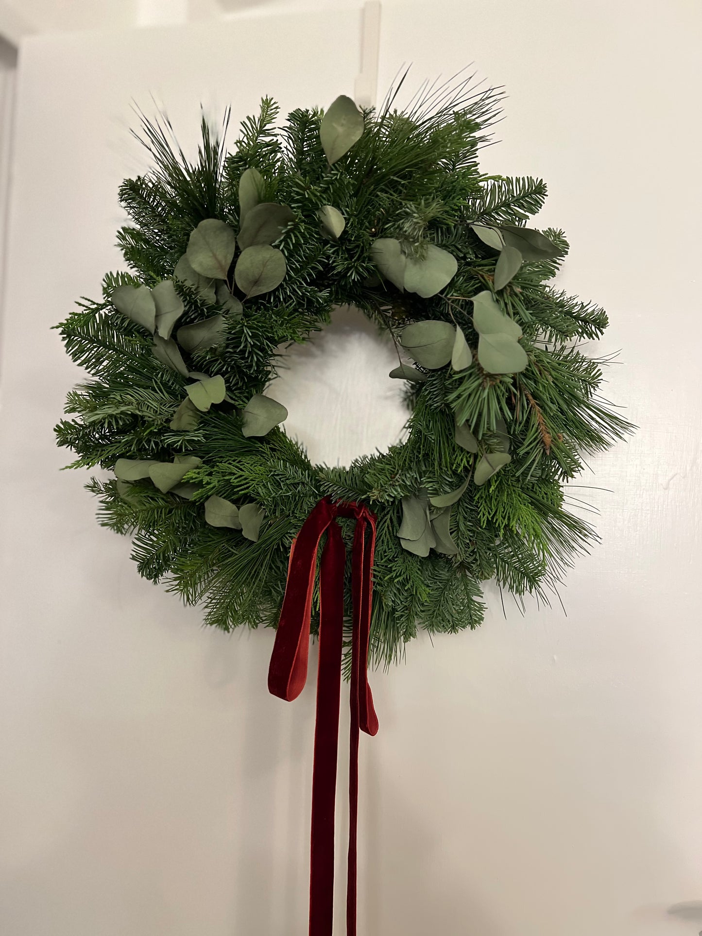 Fresh Christmas Wreath with Eucalyptus and Burgundy Velvet Ribbon, 45cm aprx