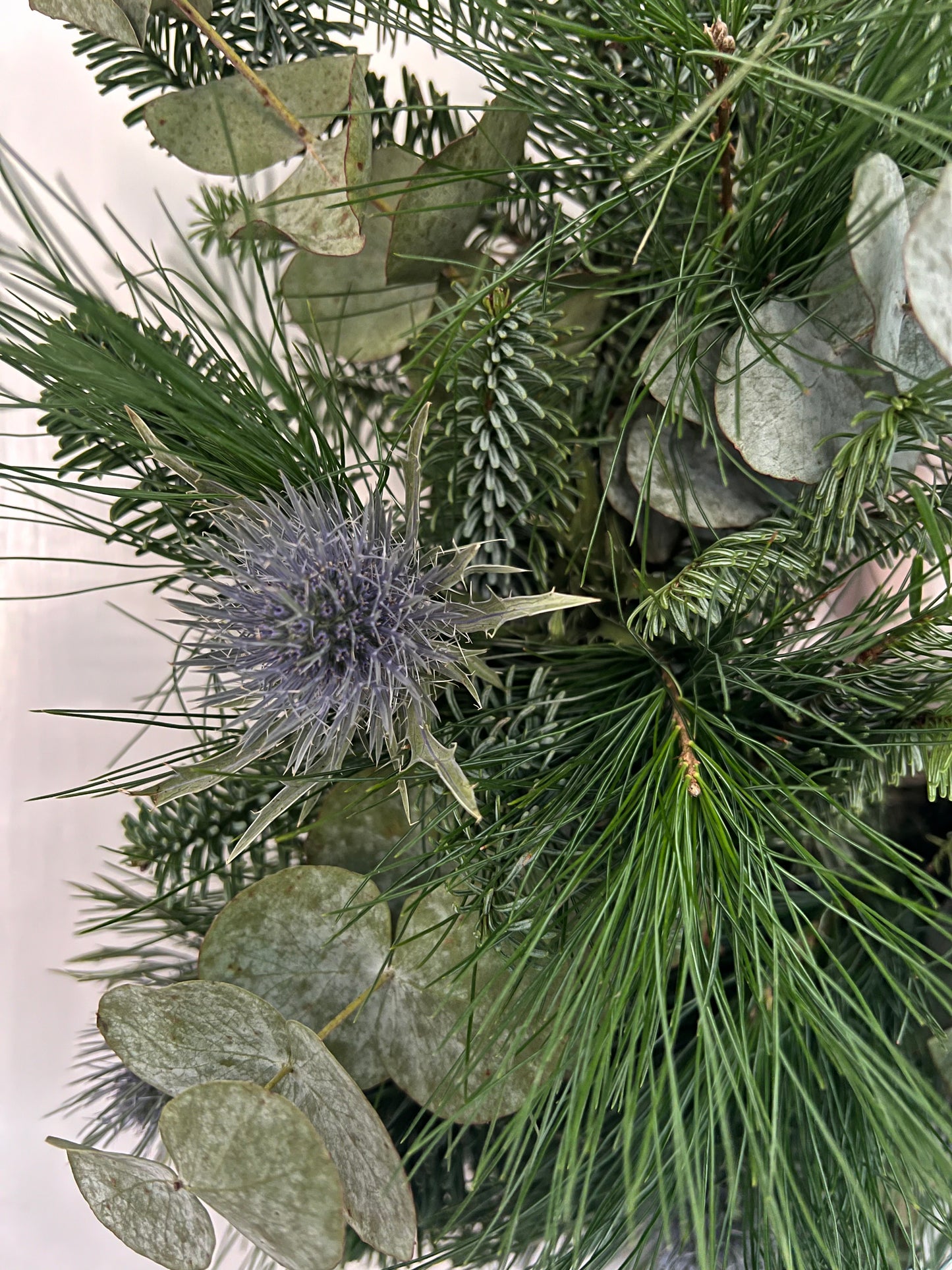 Woodland Christmas Wreath with Thistle, Eucalyptus and Burgundy Velvet Ribbon 50cm