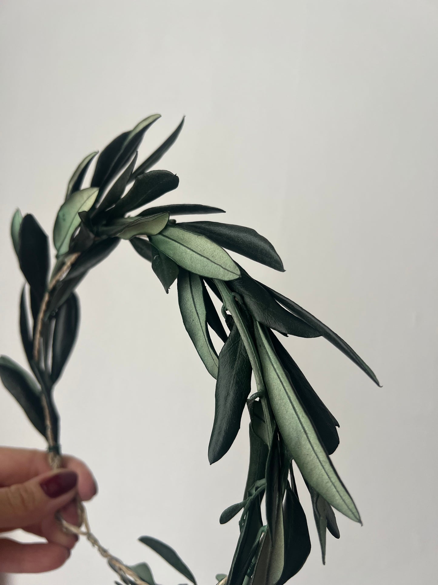 Preserved Real Olive Leaves Hair Wreath, Greenery Halo Crown