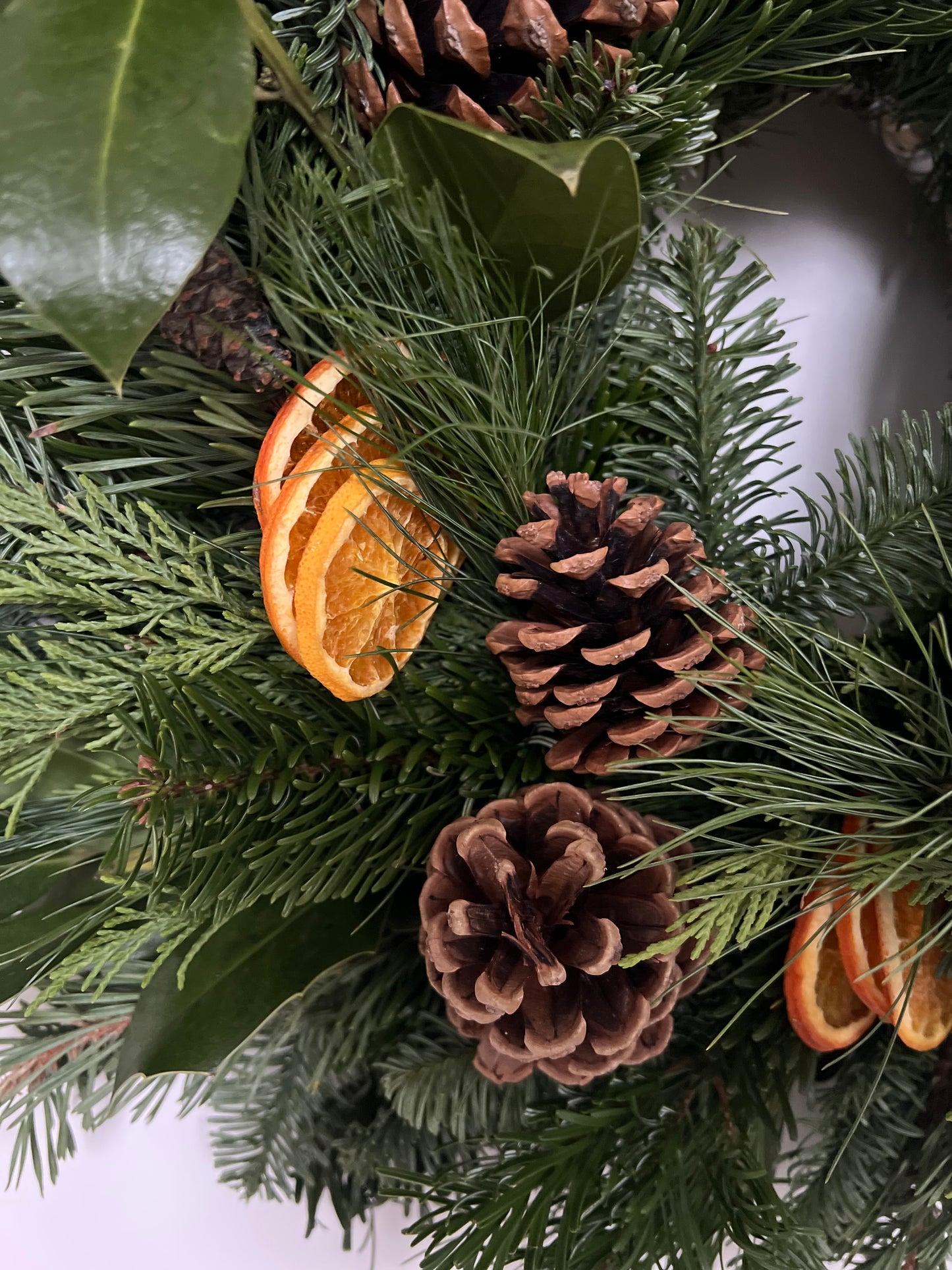 Large Fresh Christmas Wreath Natural with Pinecones and Oranges and Velvet Ribbon 20”