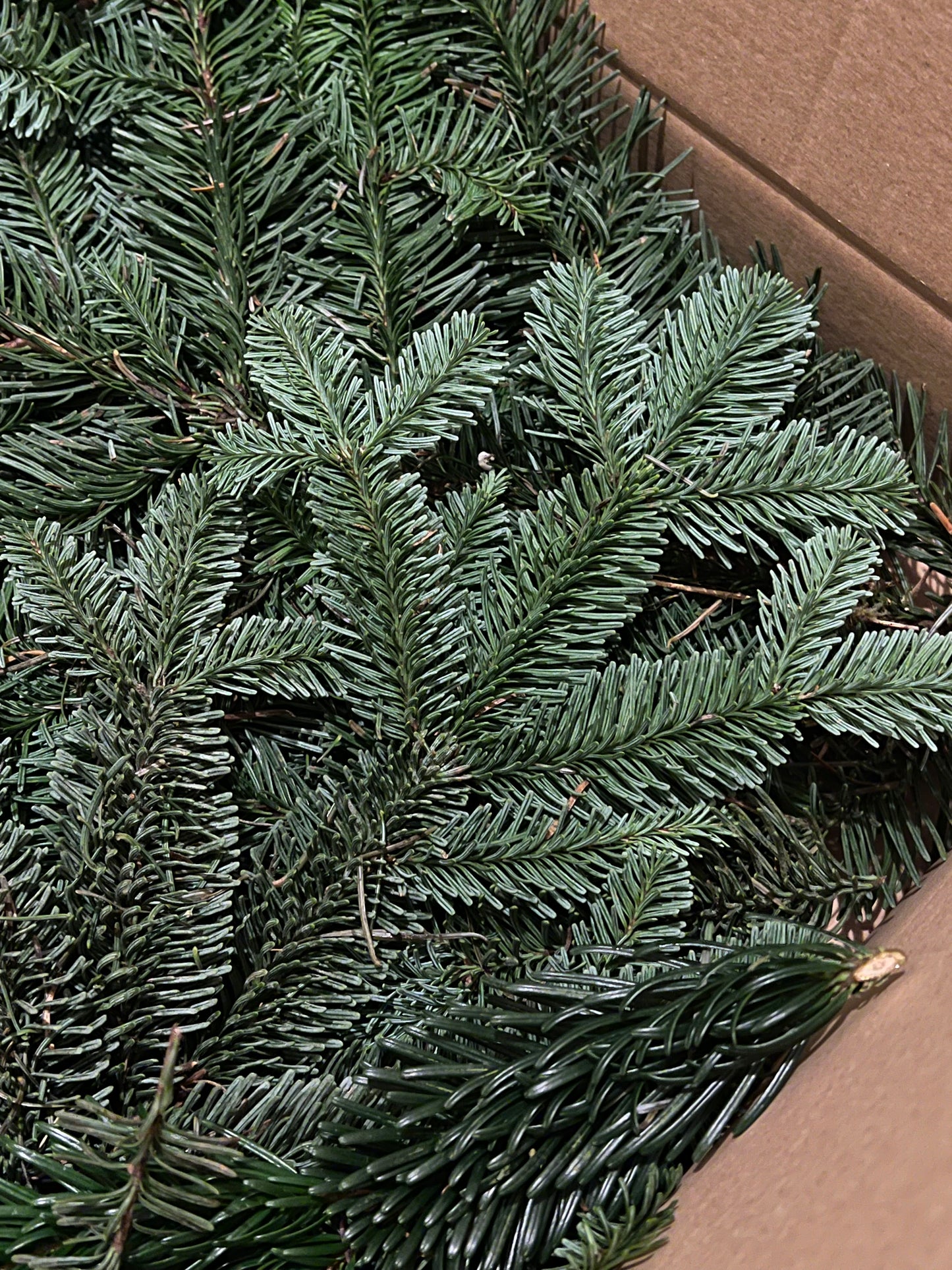 Fresh Nordic Christmas Foliage Greenery in a box for DIY