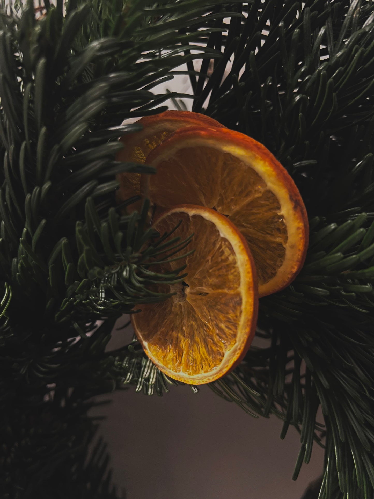 Large Christmas Wreath with Fresh Foliage Pinecones and Oranges