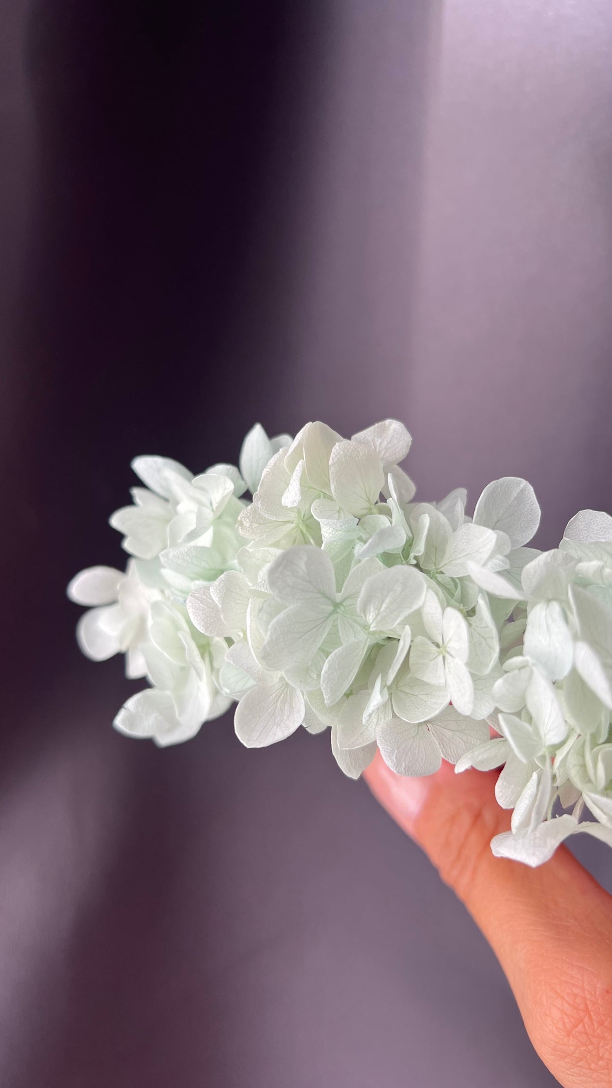 Aqua Blue Hydrangea Hair Pins for Wedding, Bridal Hair Accessories for Beach wedding, Set of 3