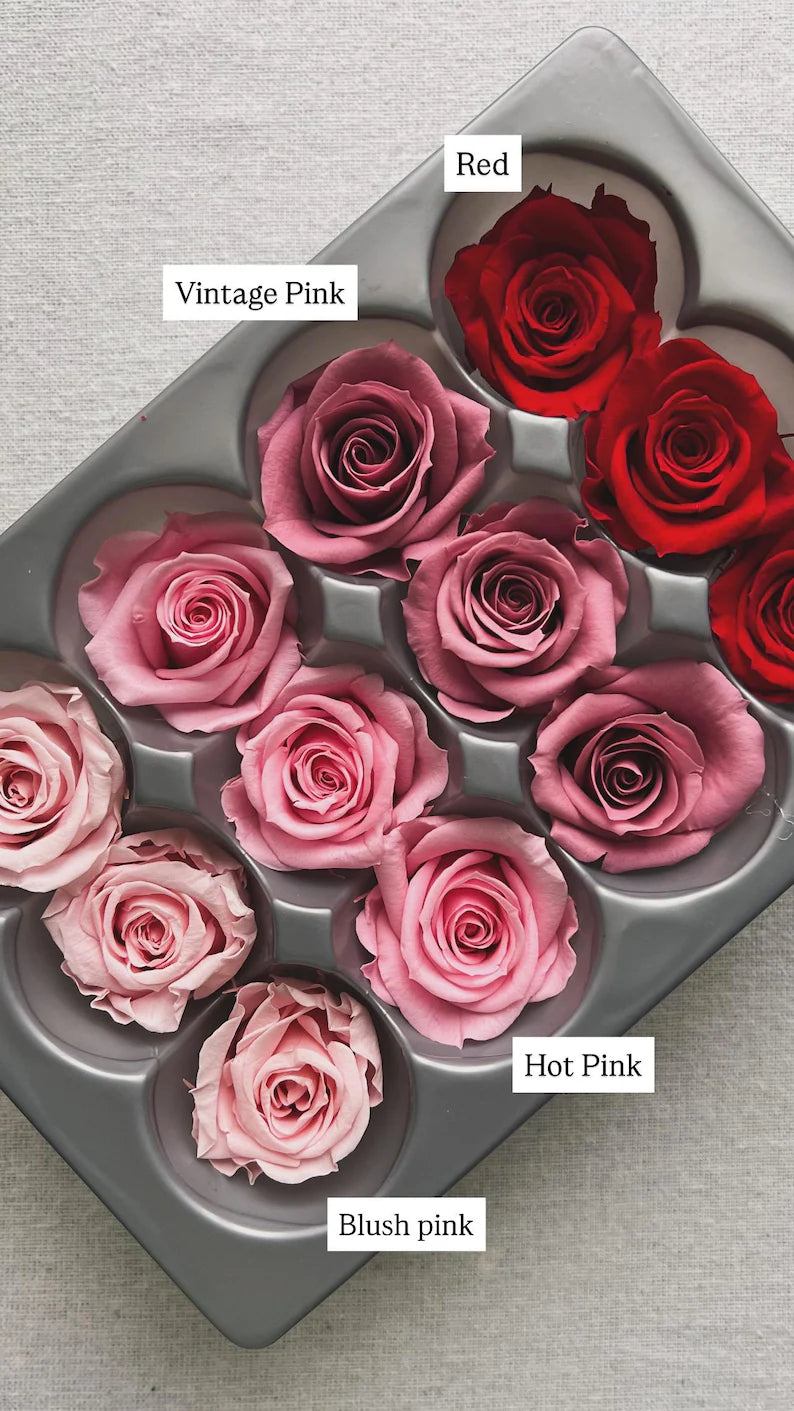 Boho White Rose And Eucalyptus Wedding Hair Comb, White and Green Olive Leaves Flower Comb, Rustic Bridal Wedding Accessories Silver Gold UK