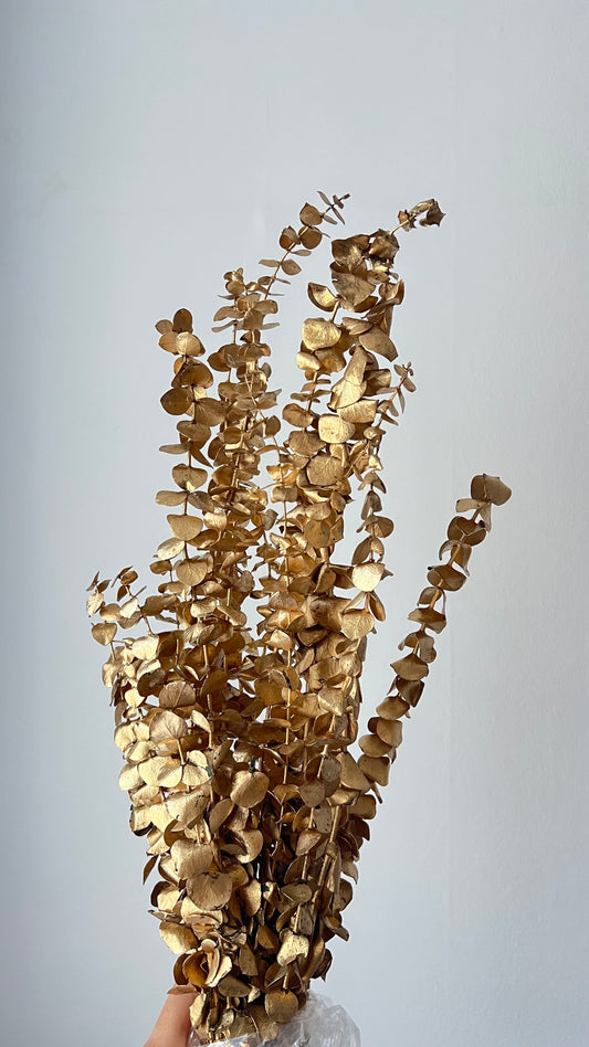 Preserved Eucalyptus Leaves Gold Bunch for Decoration