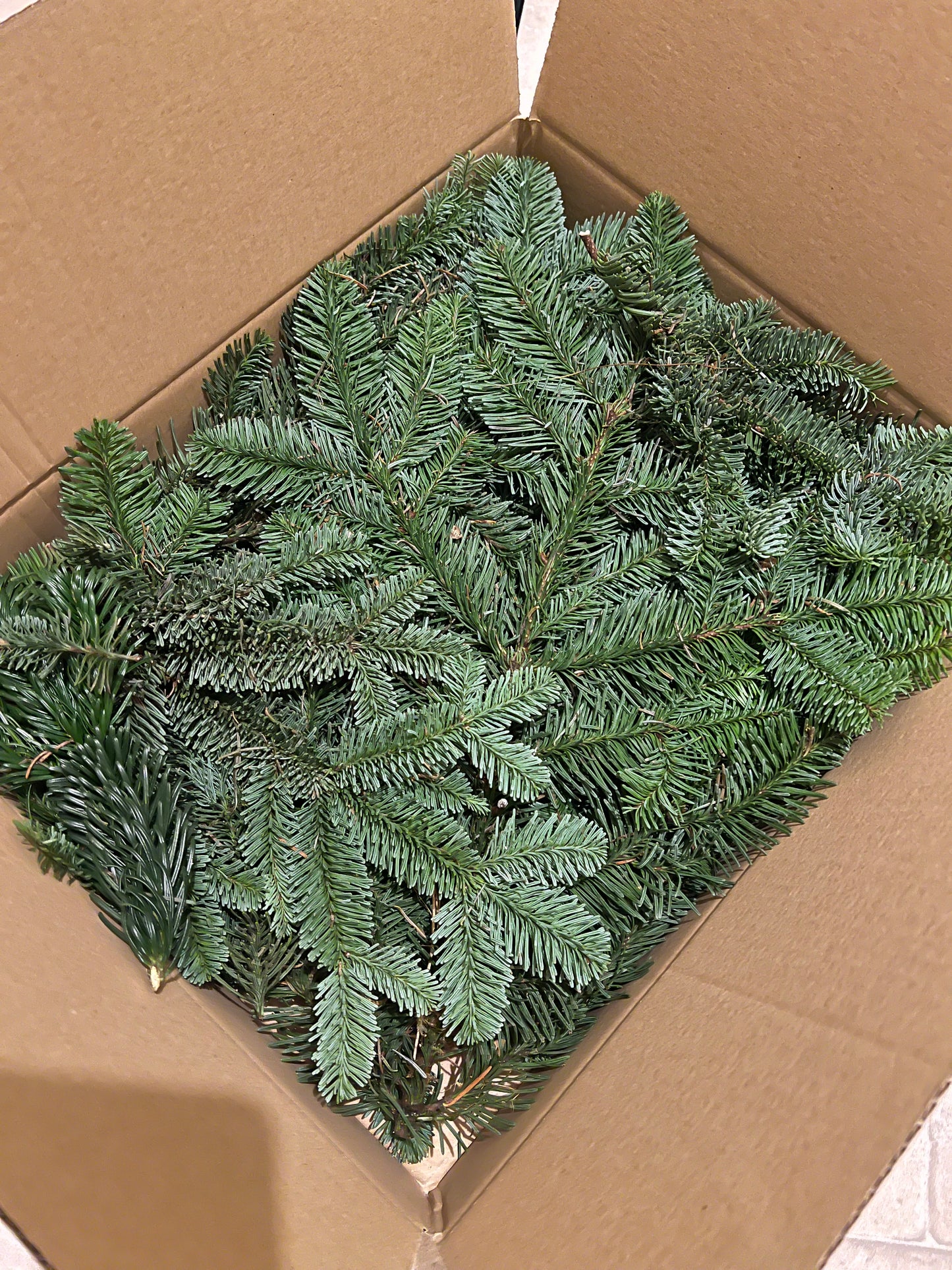 Fresh Nordic Christmas Foliage Greenery in a box for DIY