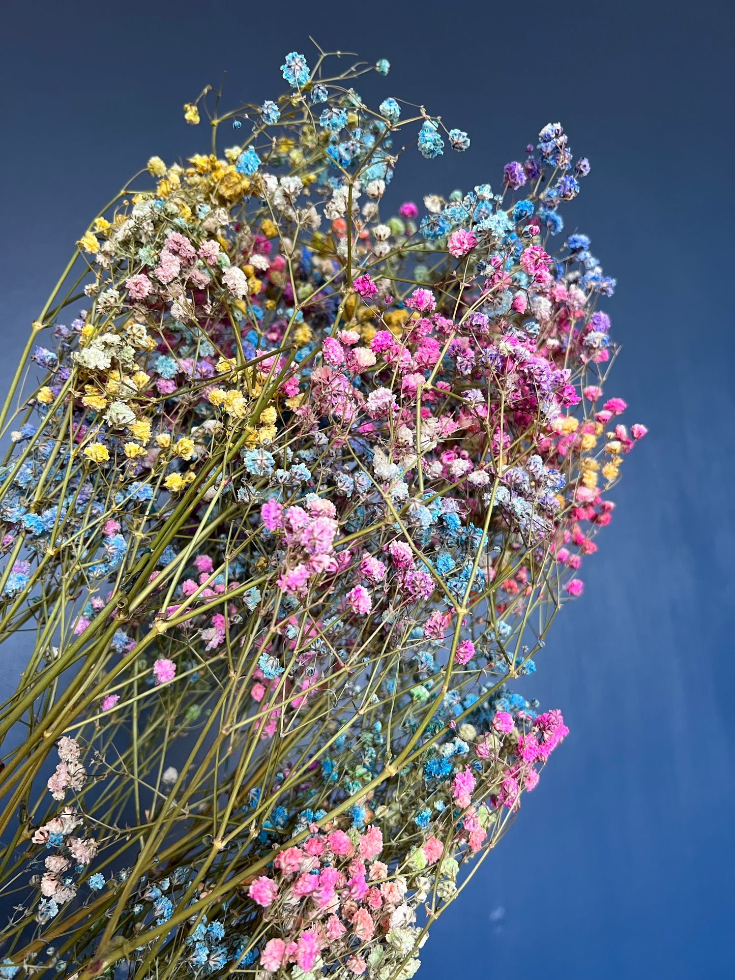 Rainbow Flower Wreath, Colourful Babys Breath Flower Girl Halo Crown Gypsophila, Dried Real Flower Hair Accessories, Floral Hair Piece