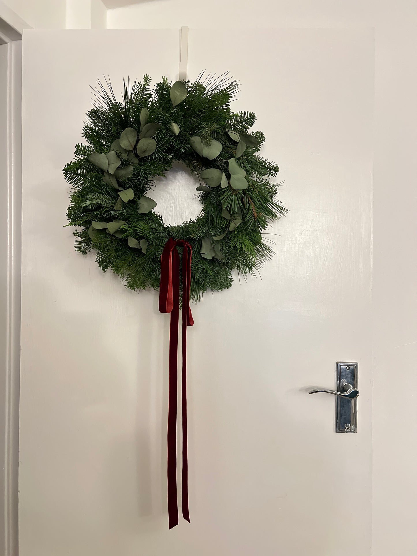 Fresh Christmas Wreath with Eucalyptus and Burgundy Velvet Ribbon, 45cm aprx