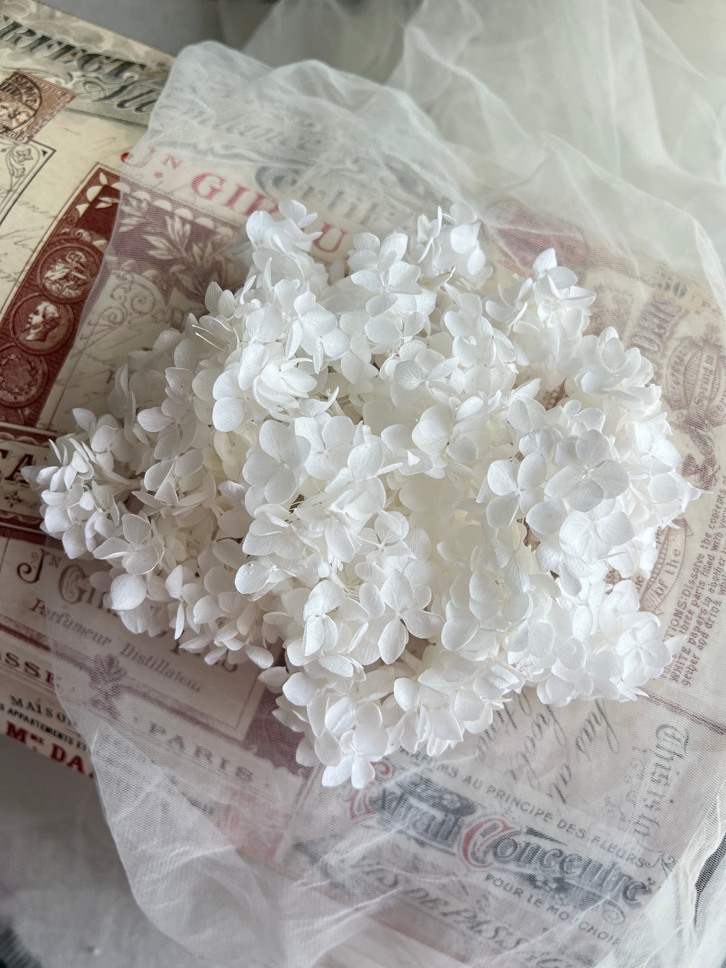 White Flower Bridal Hair Pins, Floral Wedding Hair Pins, Minimal Bride Hair Accessories, Ivory Preserved Hydrangea Hair Picks UK