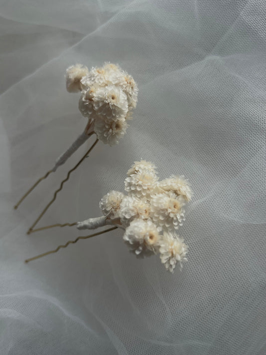 Dried Strawflower / Helichrysum Hair Pin Set in Ivory