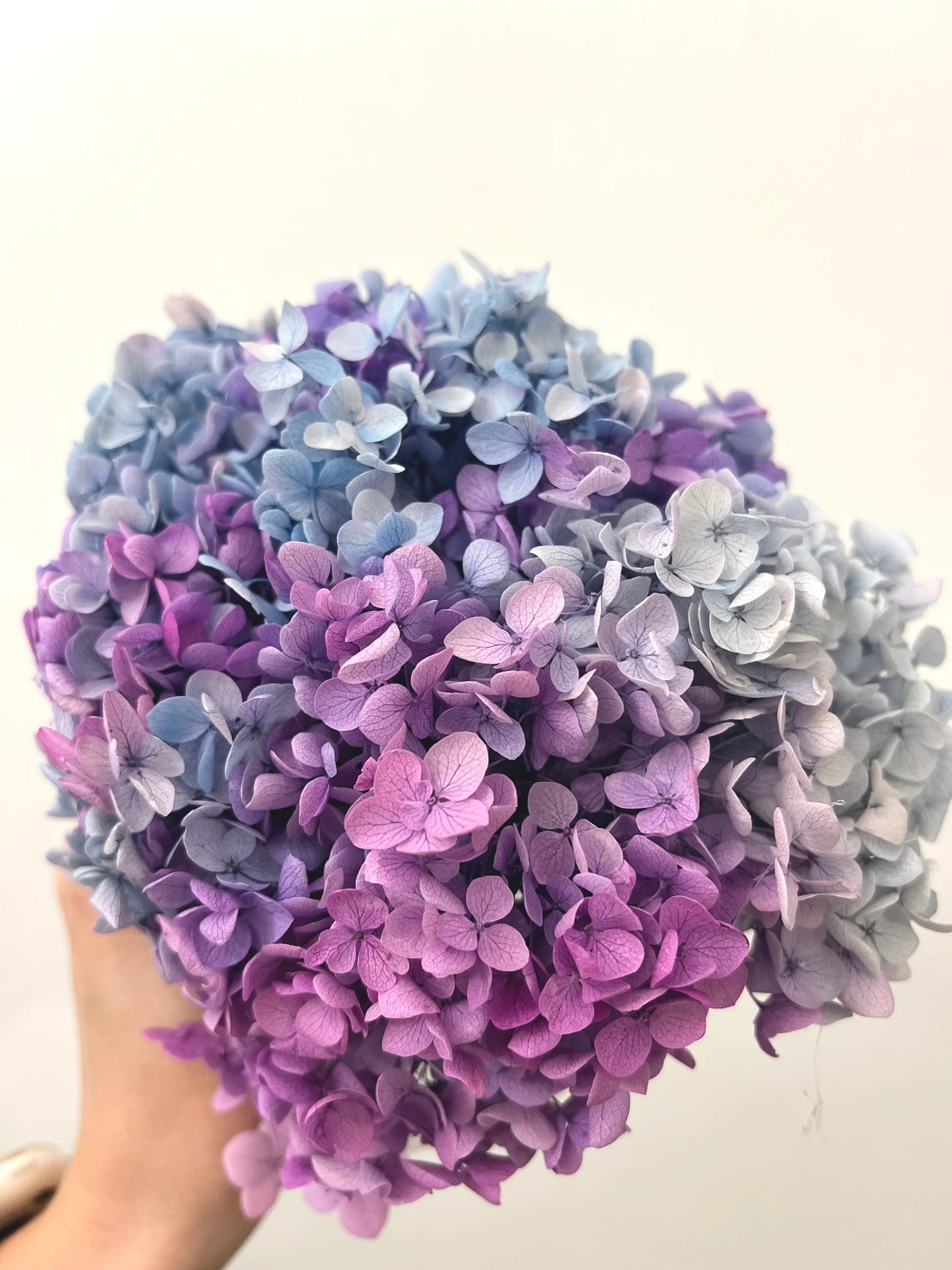 Pastel Colourful Flower Crown with Dried Daisy and Hydrangeas
