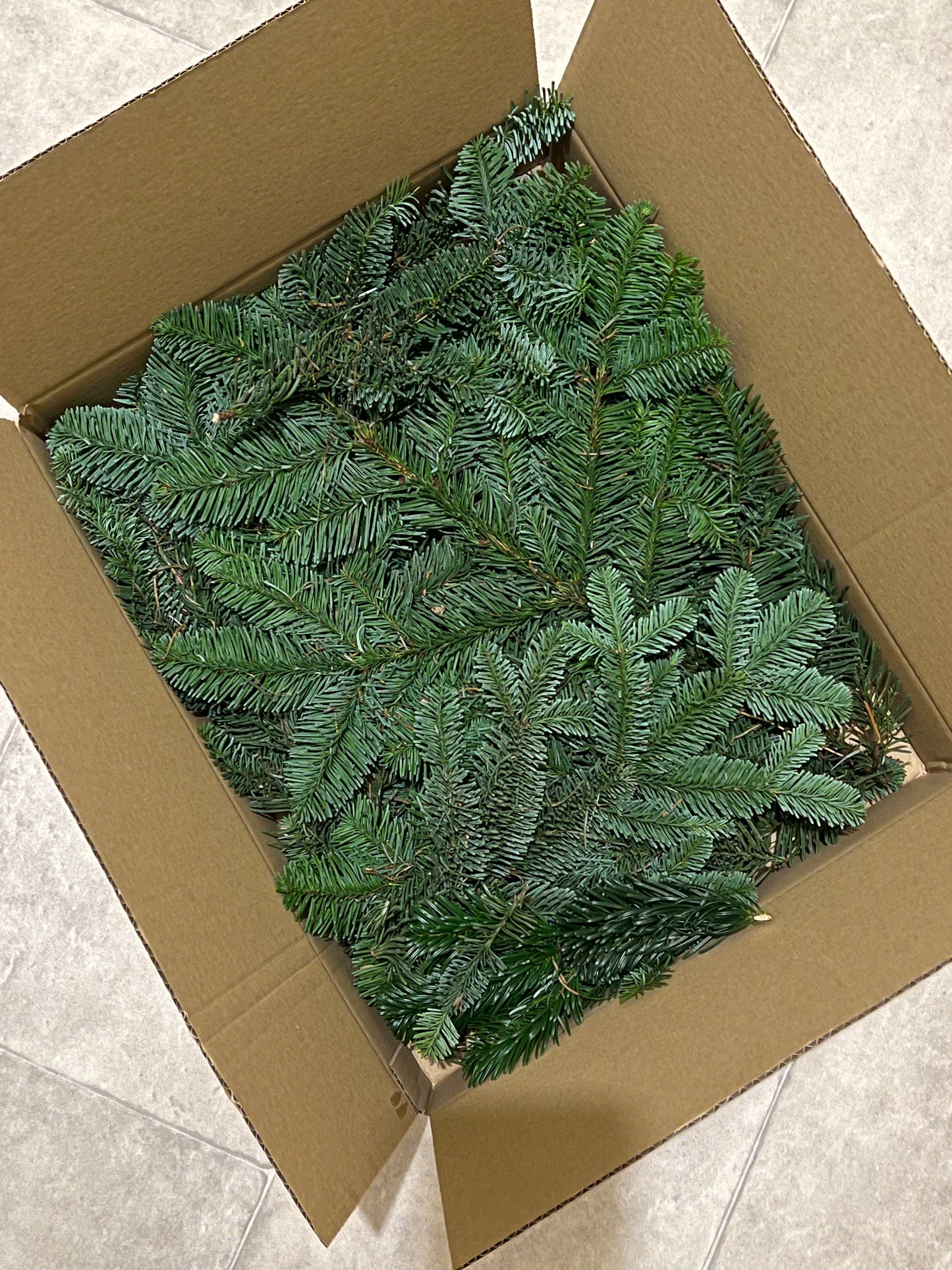 Fresh Nordic Christmas Foliage Greenery in a box for DIY