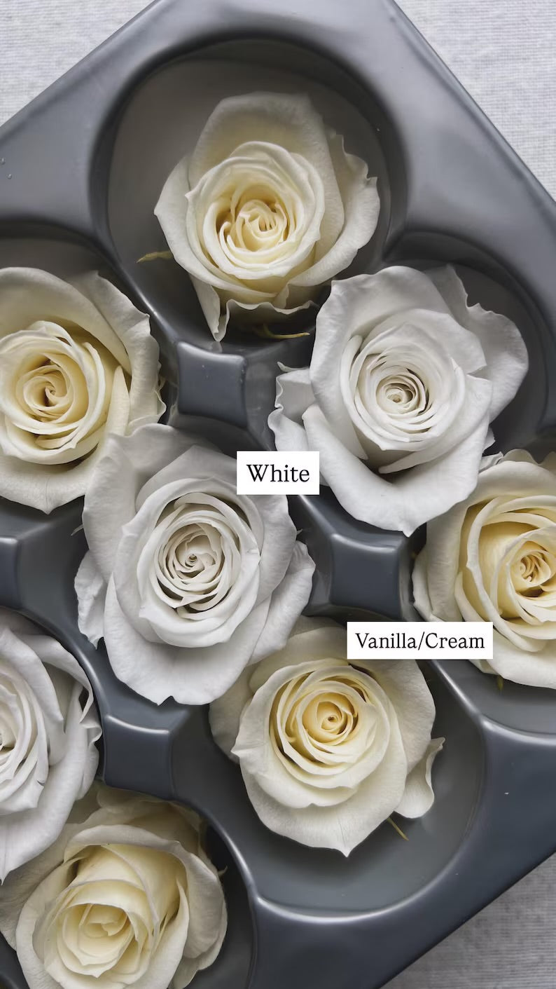 Boho White Rose And Eucalyptus Wedding Hair Comb, White and Green Olive Leaves Flower Comb, Rustic Bridal Wedding Accessories Silver Gold UK