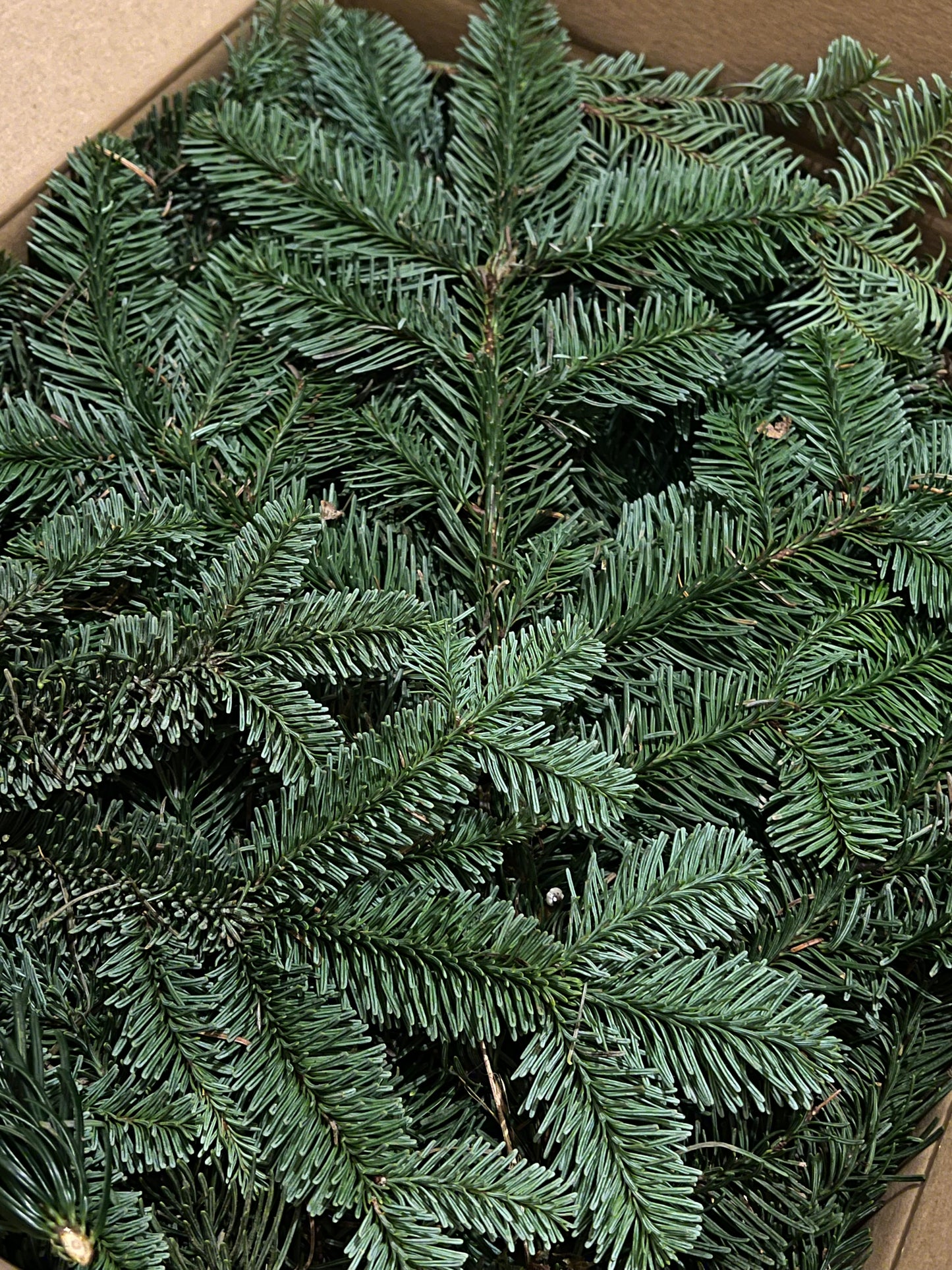 Fresh Nordic Christmas Foliage Greenery in a box for DIY