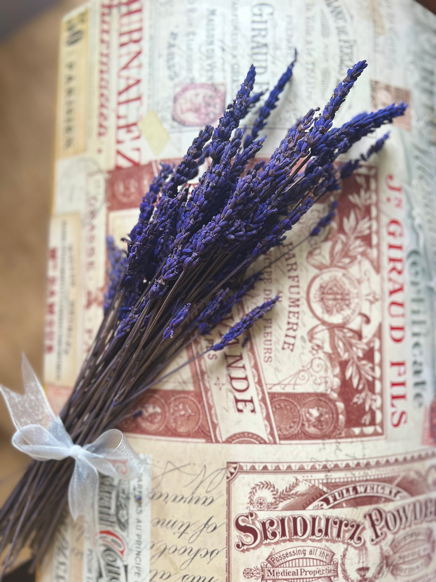 Preserved Scented Real Lavender Bunch