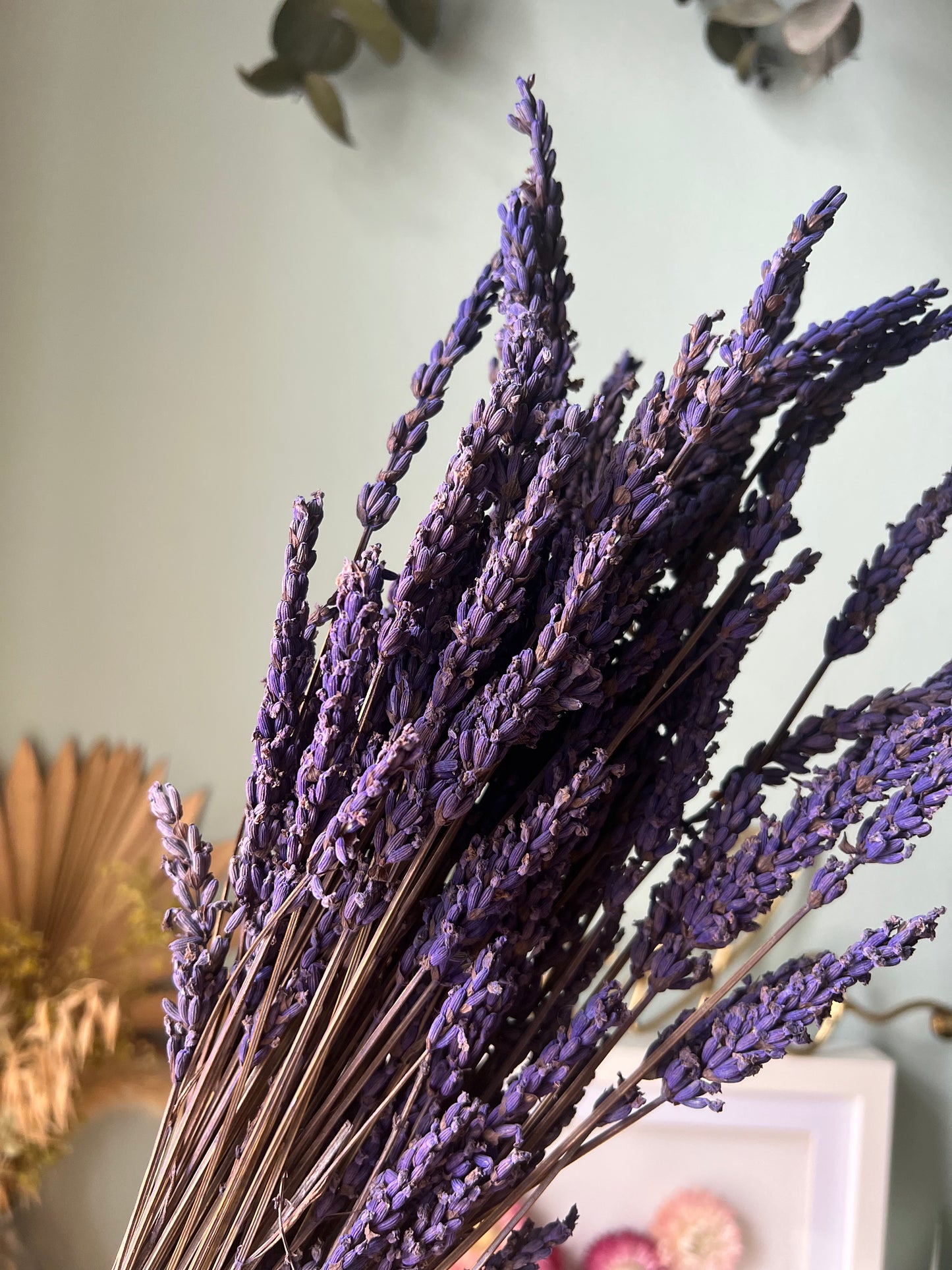 Preserved Scented Real Lavender Bunch