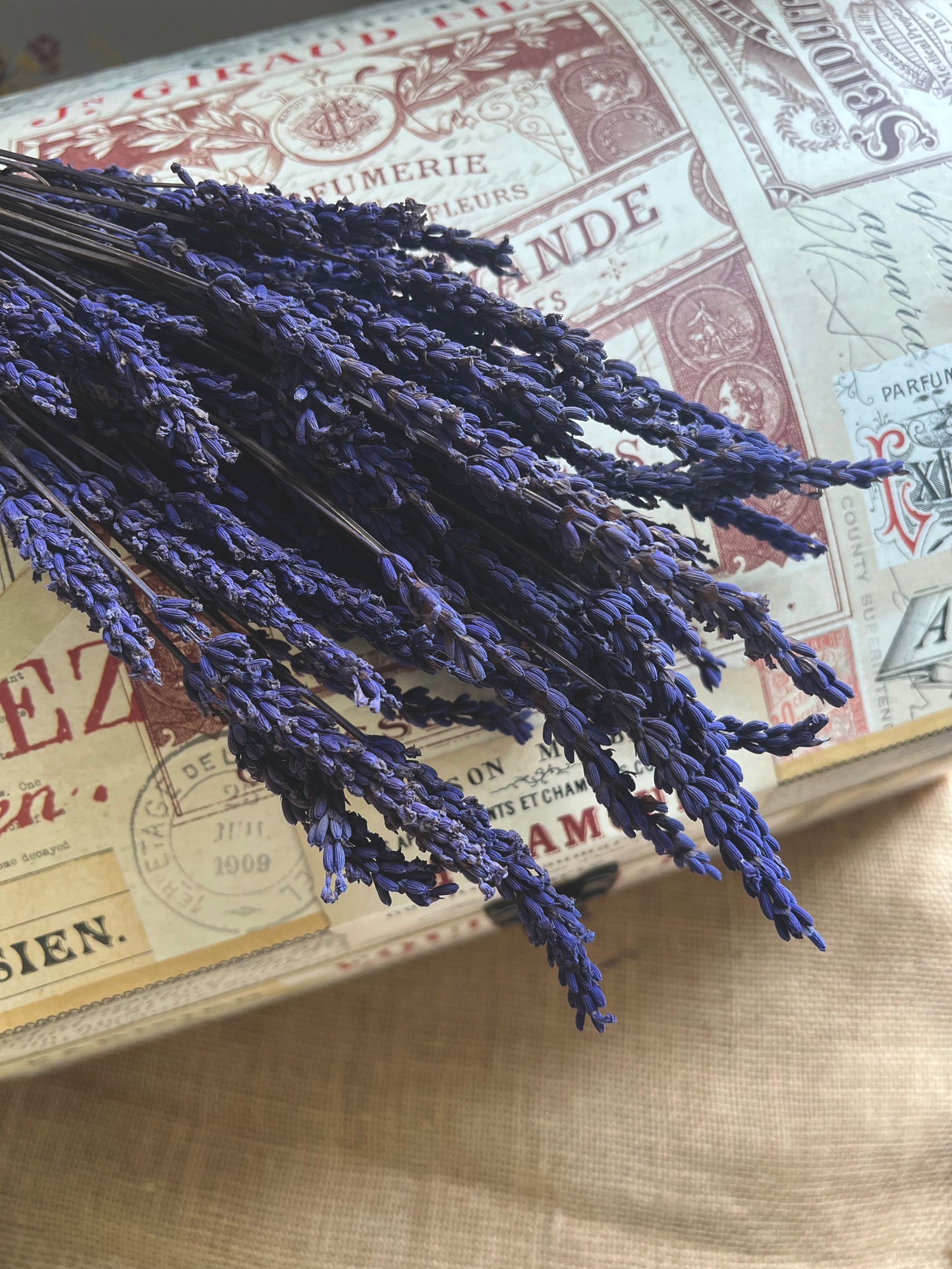 Preserved Scented Real Lavender Bunch