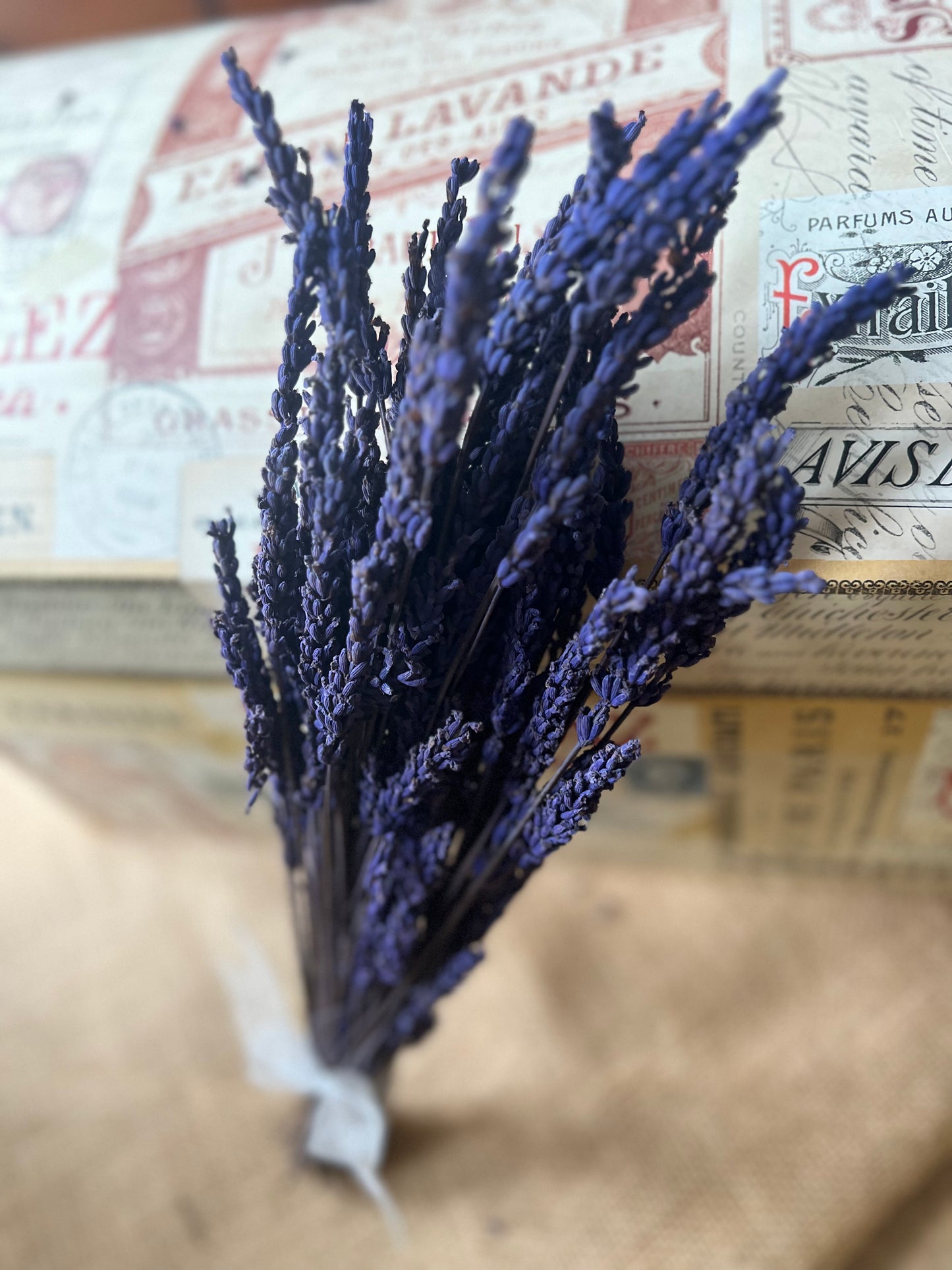 Preserved Scented Real Lavender Bunch