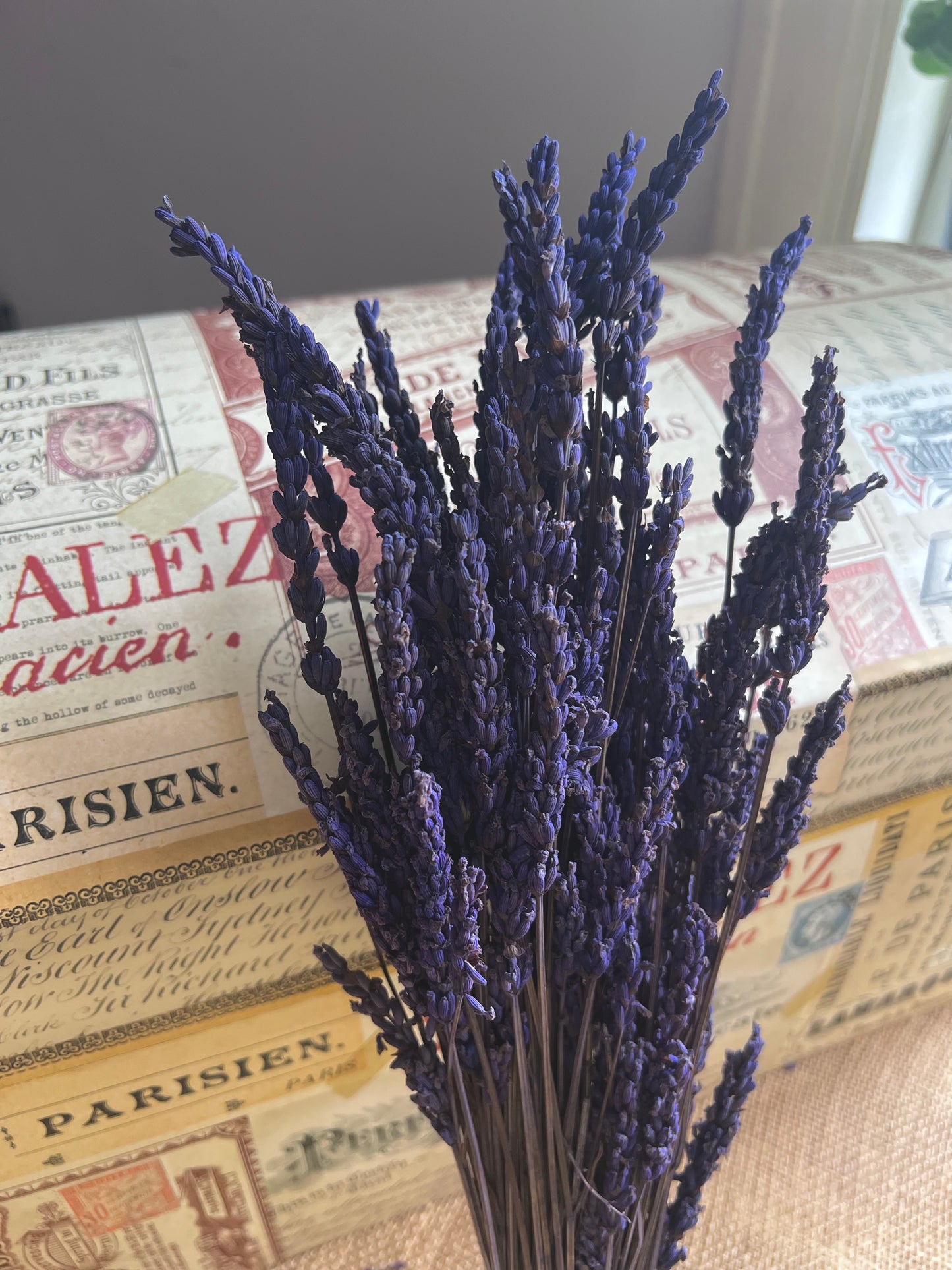 Preserved Scented Real Lavender Bunch