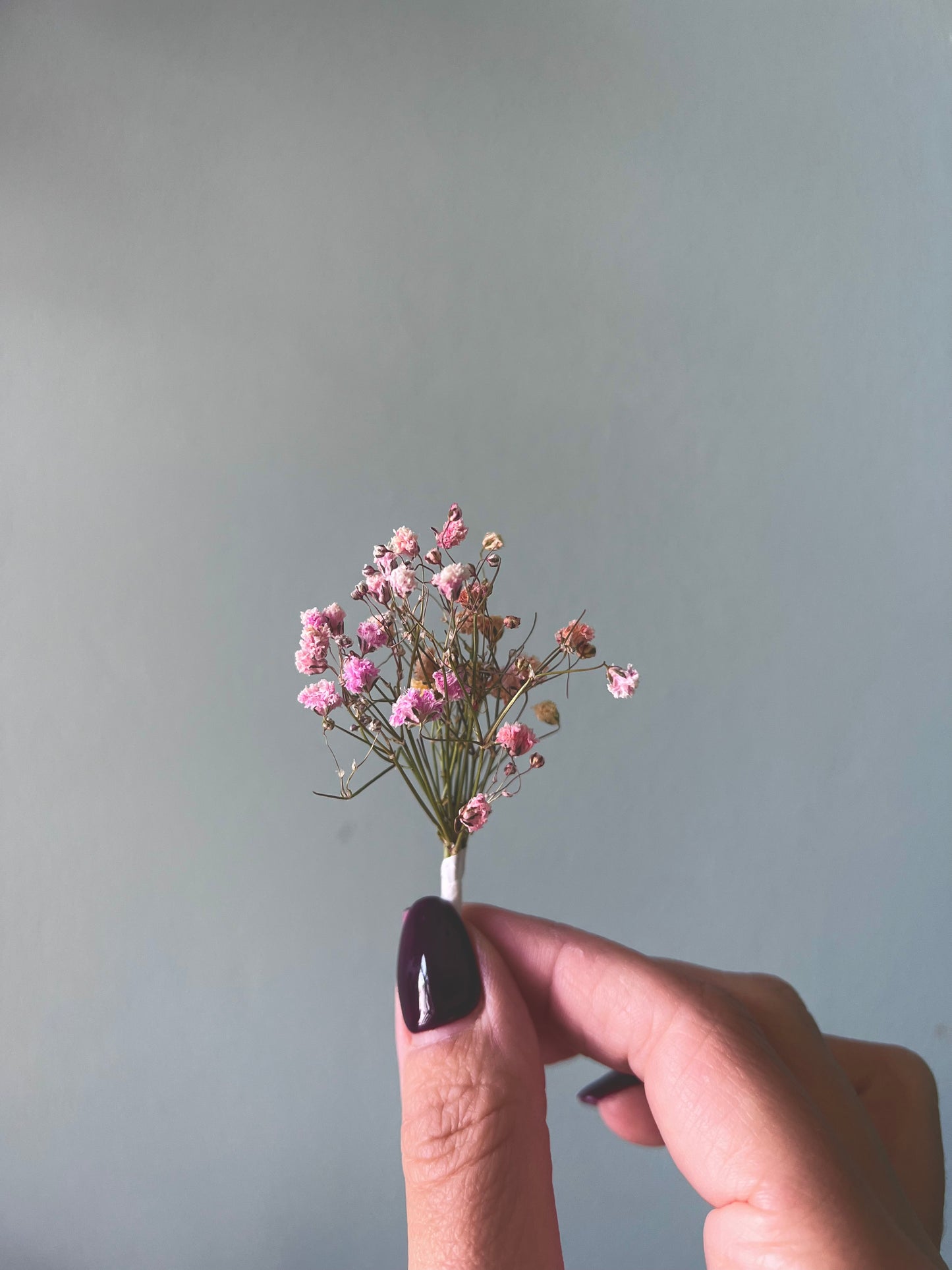 Colourful or White Dried Flower Hair Pins, Gypsophila Babys Breath Colorful Floral Hair Picks, Minimal Bridal Flower Girl Small Hair Piece