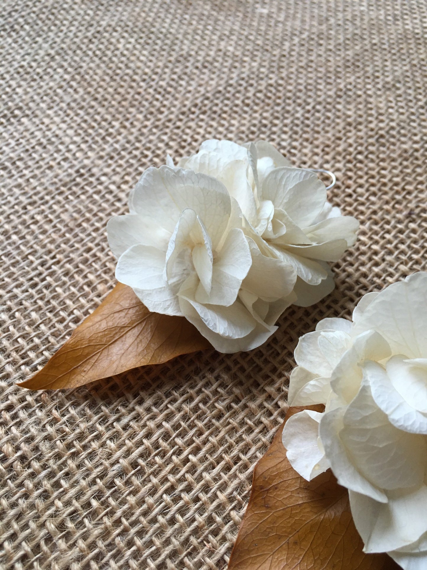 Boho Bridal Dusty Cream Real Flower Earrings UK, Rustic Autumnal Wedding Accessories, Beige Dry Flower Earrings, Ivory Floral Earrings UK