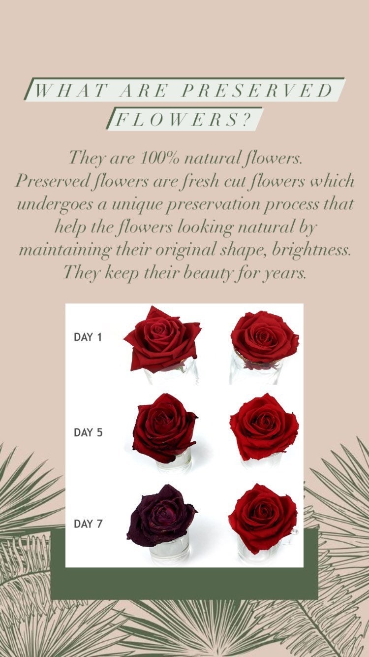 Handmade Real Flower Earrings, Dried Flowers, Boho Wedding Bridal Accessories, Botanical Dry Flower Earrings, Birthday Gift for Her UK