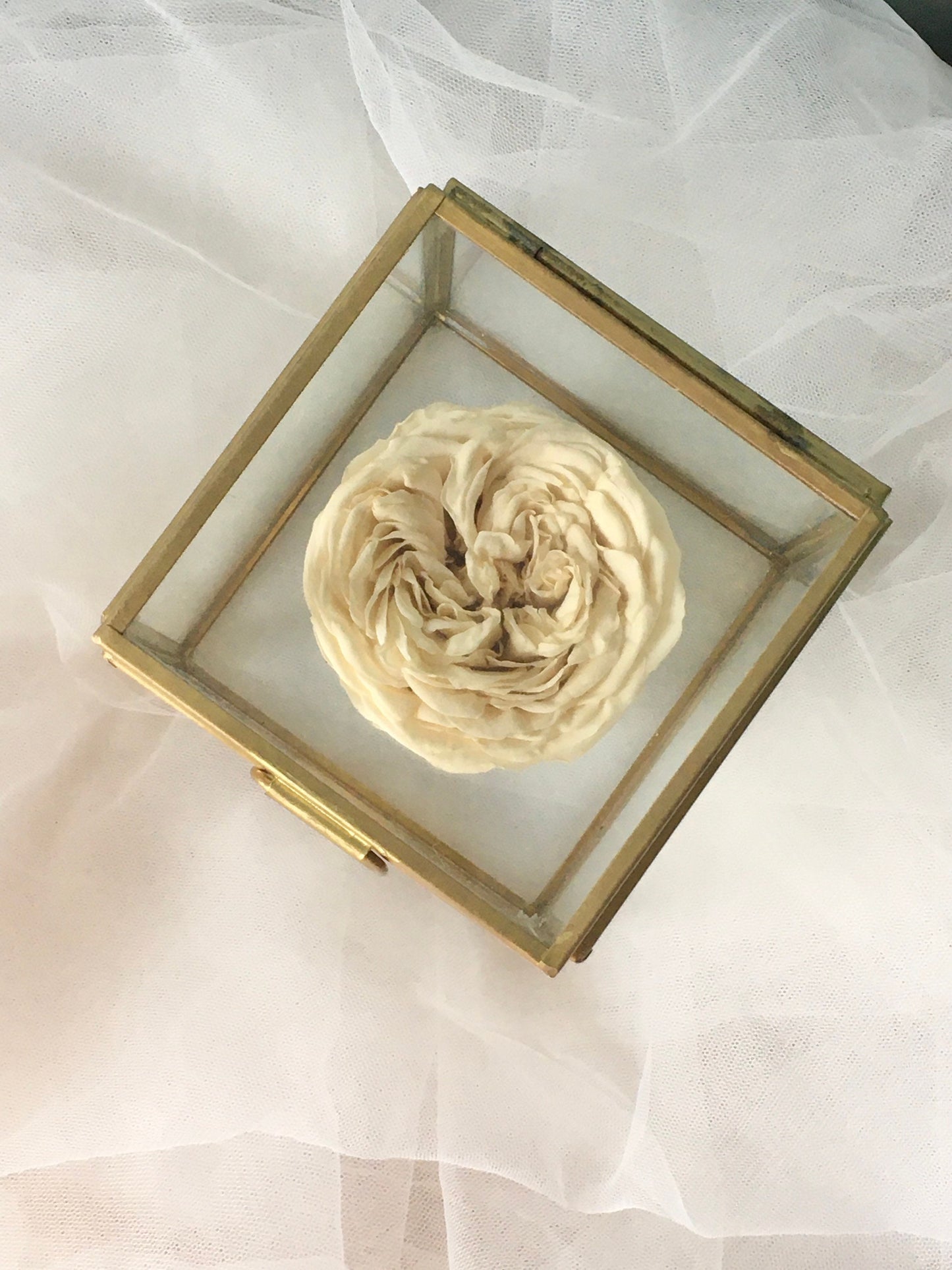 Preserved Real Rose Box, Mothers Day Eternal Flower in Glass Box, Dried Flower Arrangement, Bohemian House Decoration UK