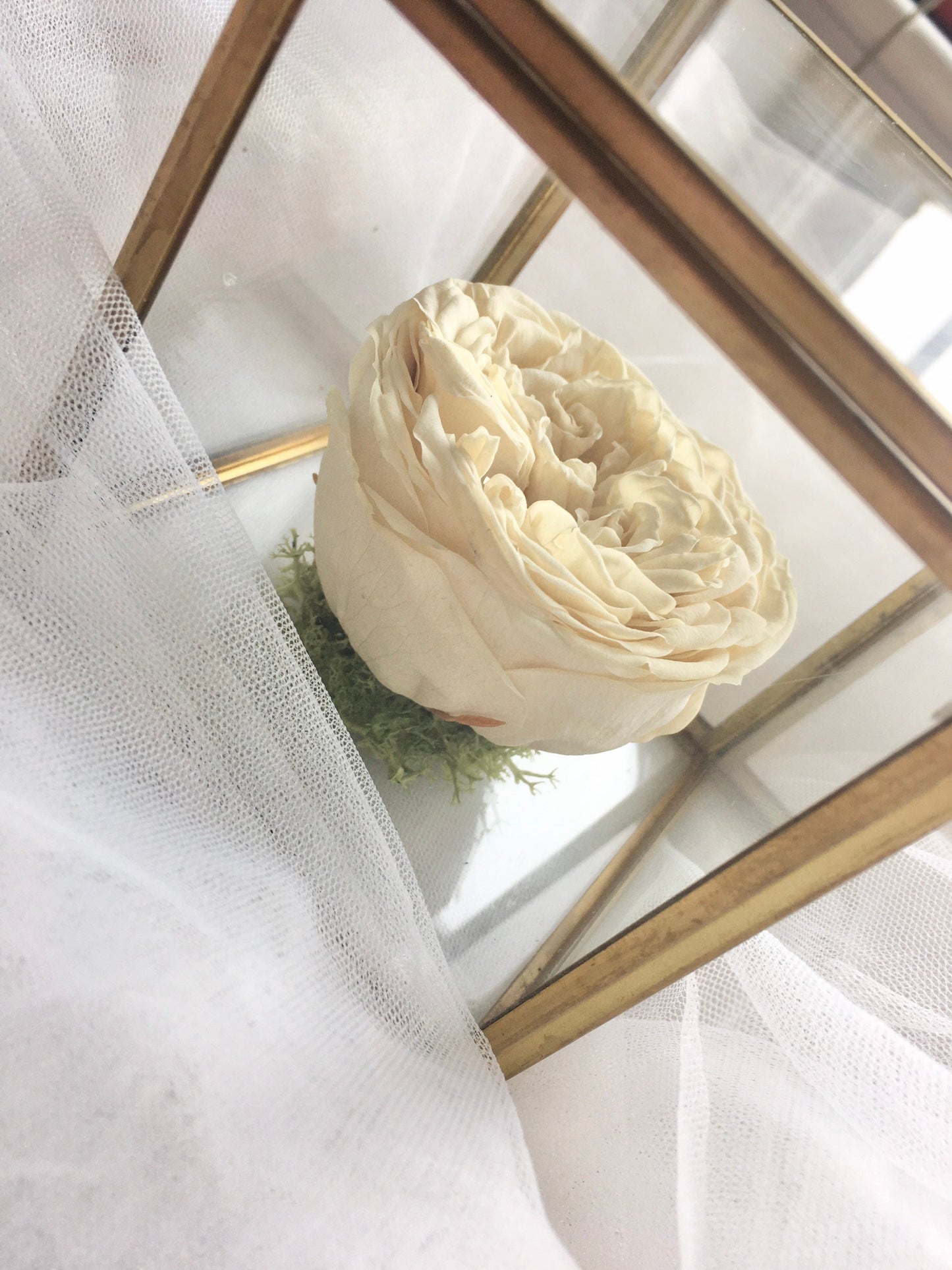 Preserved Real Rose Box, Mothers Day Eternal Flower in Glass Box, Dried Flower Arrangement, Bohemian House Decoration UK