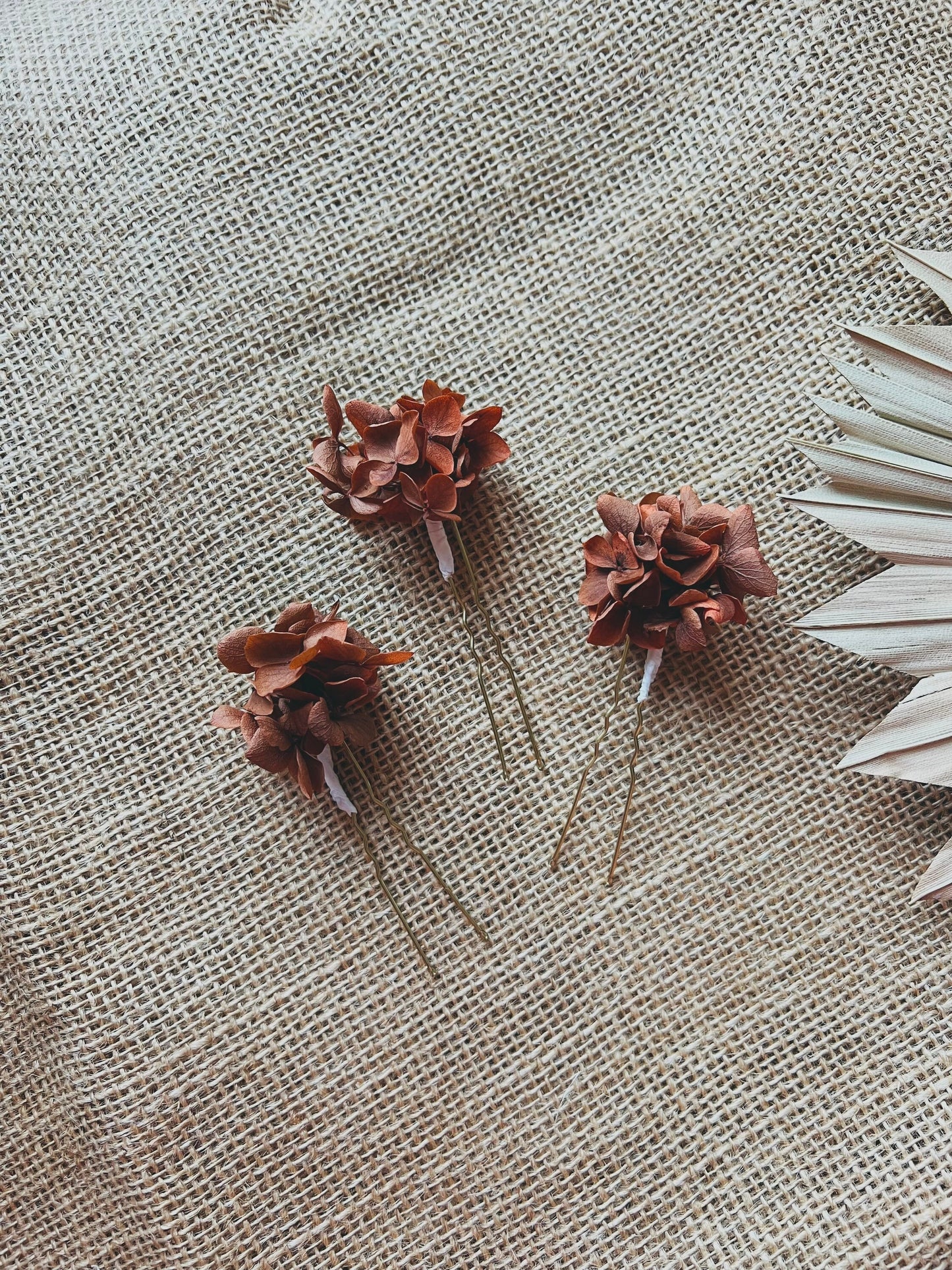 Terracotta Burnt Orange Dried Flower Hair Pins, Rustic Wedding Preserved Hydrangea Mini Head Piece, Boho Bridal Real Floral Hair Pins